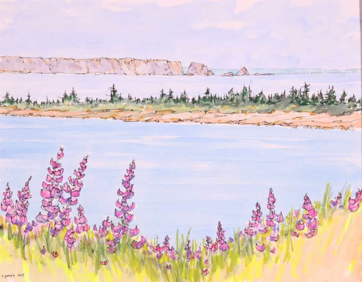 Peter Gamble "Cape Split" WIonPP 11x14x1 