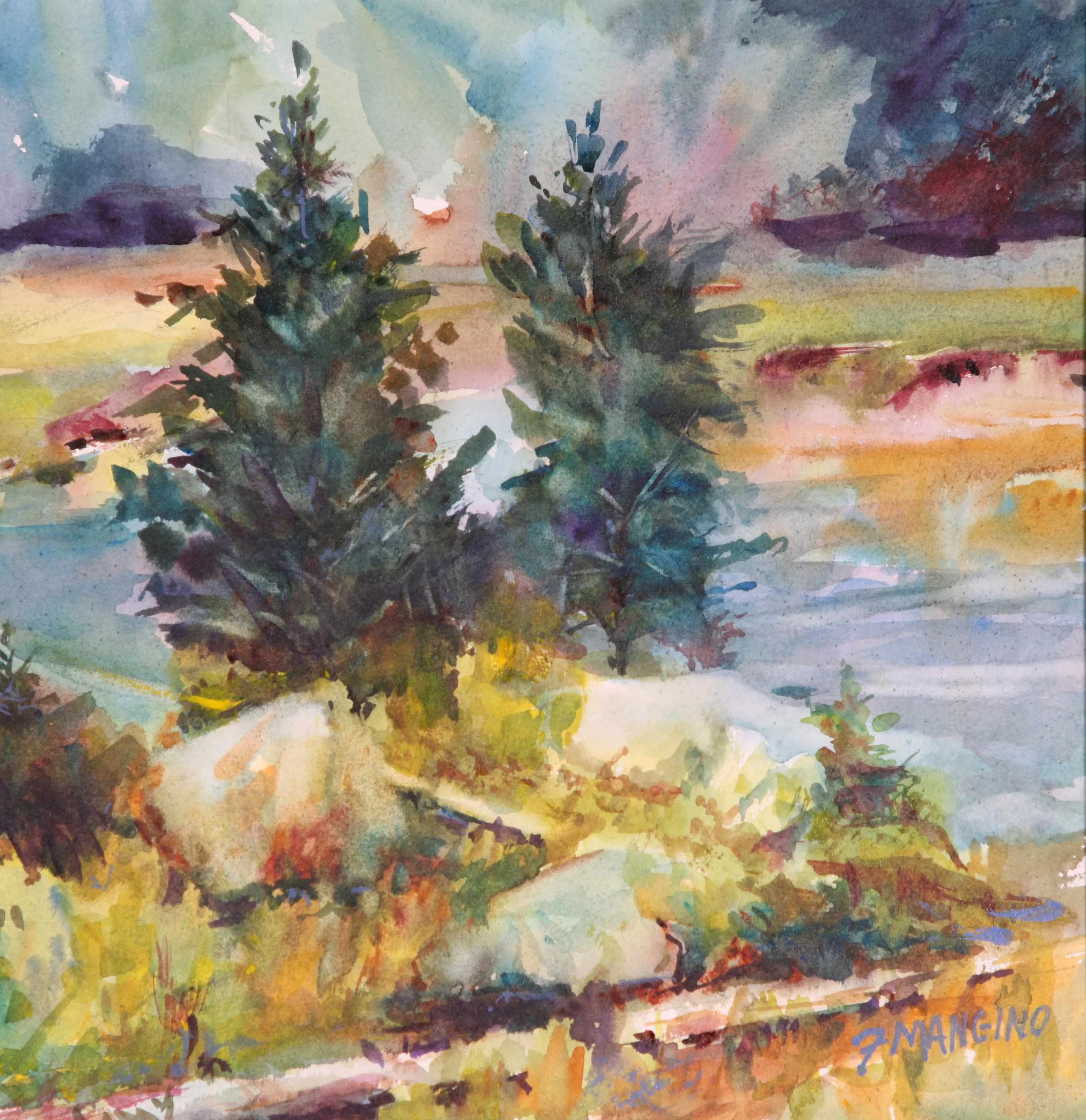Fran Mangino "Valley of the Gods" WonB 12x12x1 