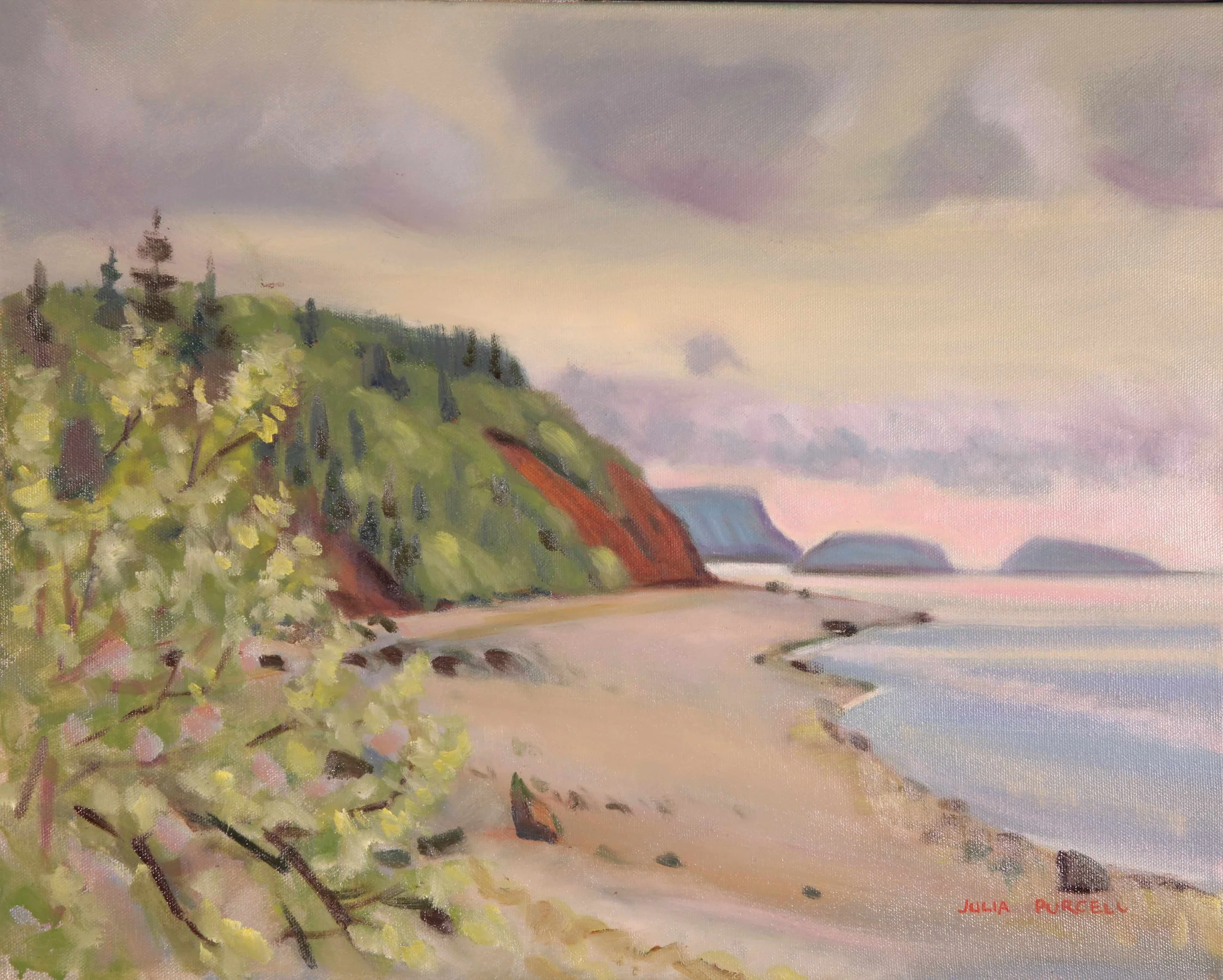 Julia Purcell "Down to the Shore Wasson's Bluff" OonC 20x16x1 