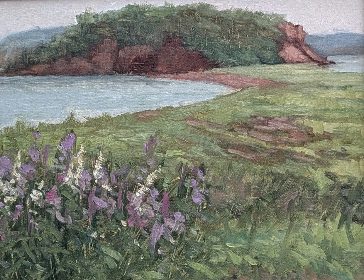 Ann Willsie "P Island"