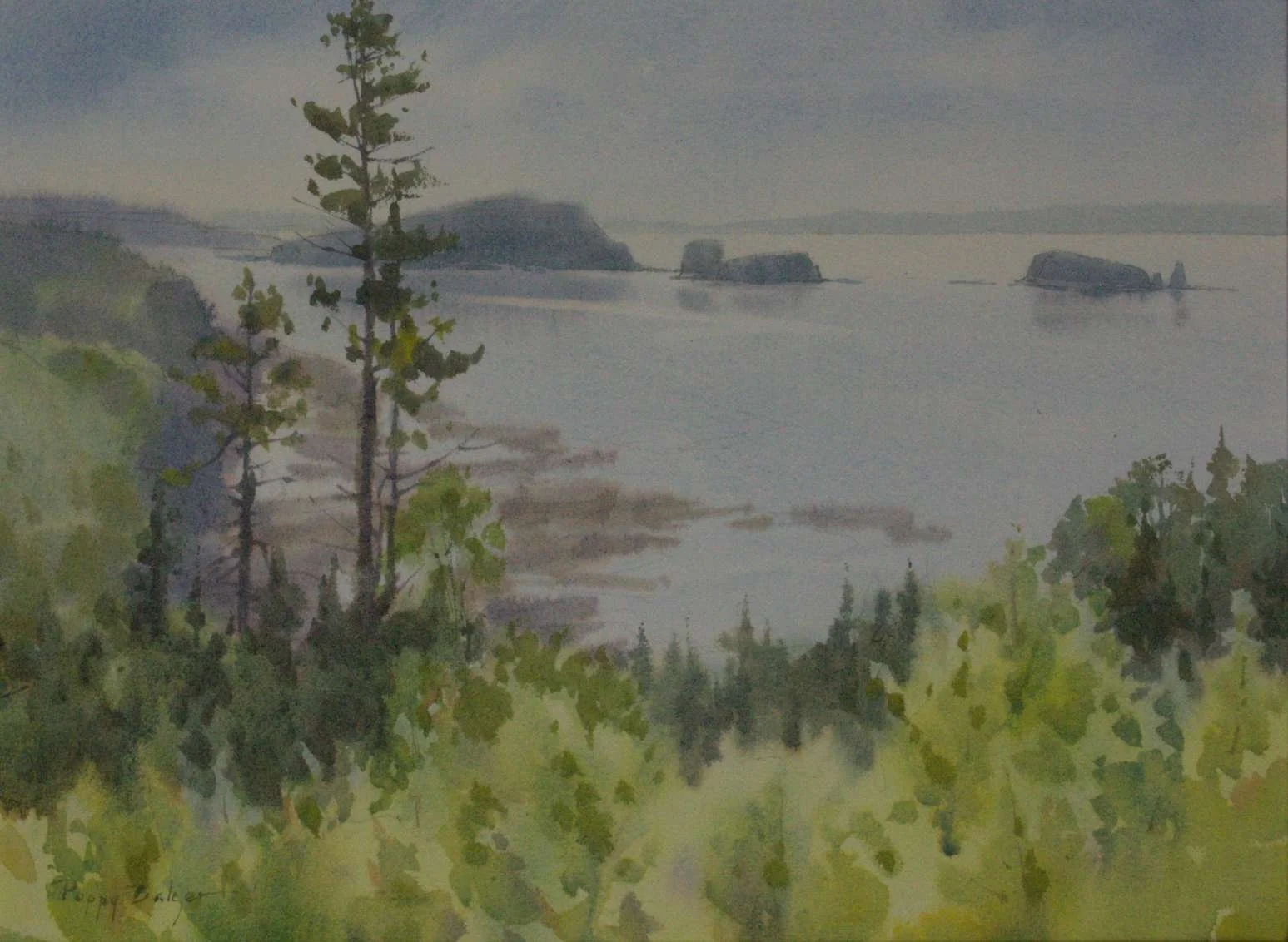 Poppy Balser, An Osprey's View, 12x16x0.25, watercolour, paper on panel