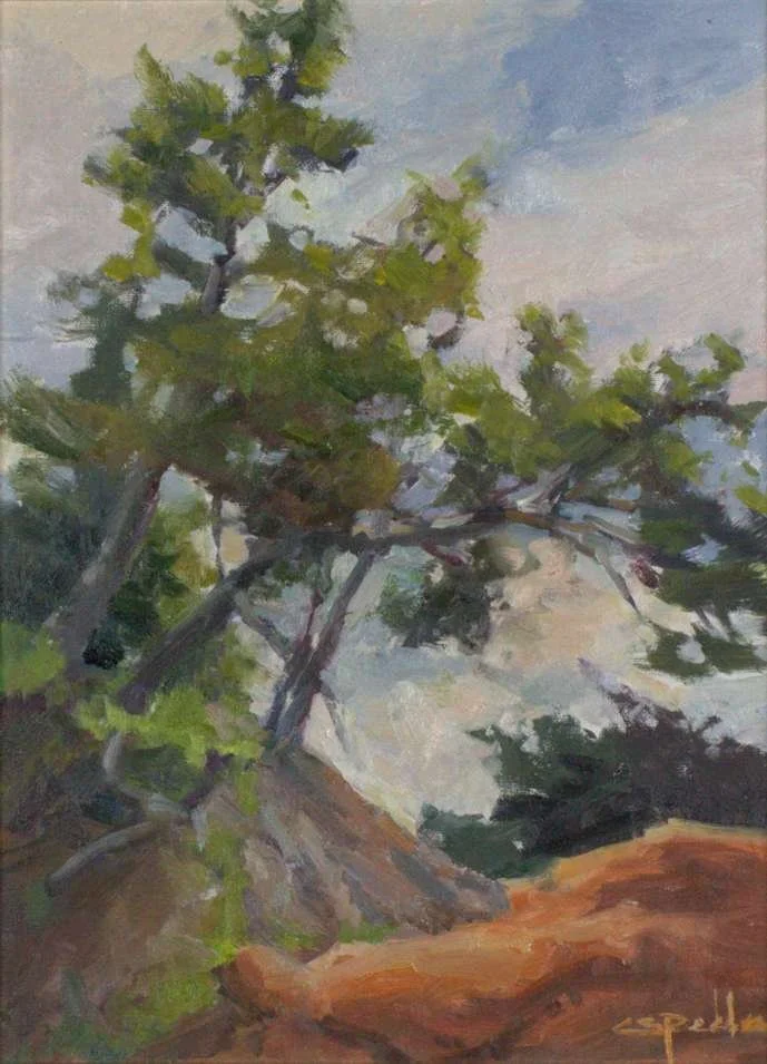 Cheryl Peddie, In The Wind, 12x9, oil, linen on board