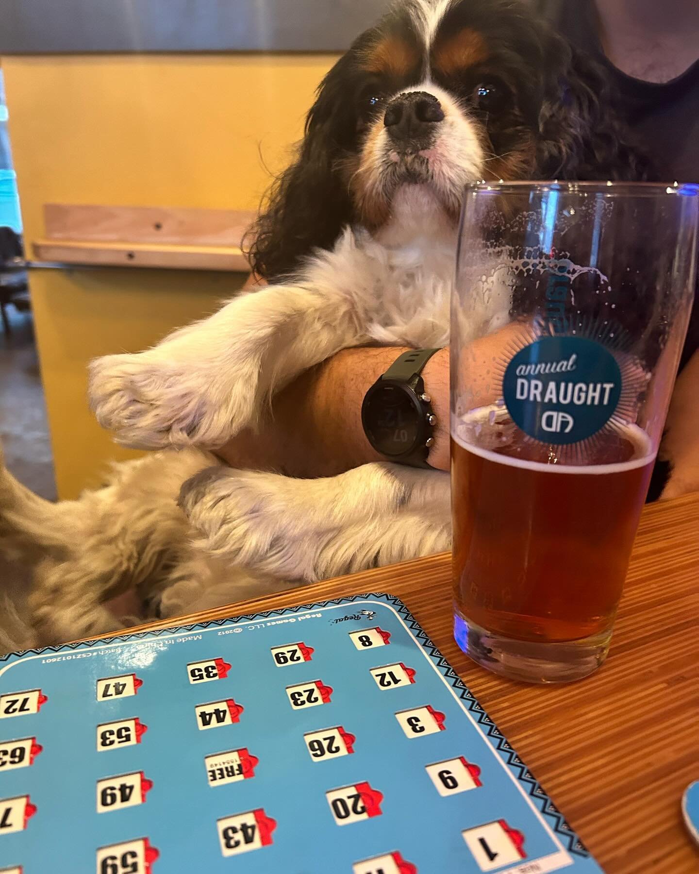 BINGO! (The game, not the dog) The fun starts at 6:30pm. Free to play. Dog bones provided. 

@elfogonpurepecha cooking up dinner starting at 4:30pm.  Come enjoy a pint, good food and the great weather!
.
.
.
#bingo #dabingo #tacos #bingoandbeer #gole