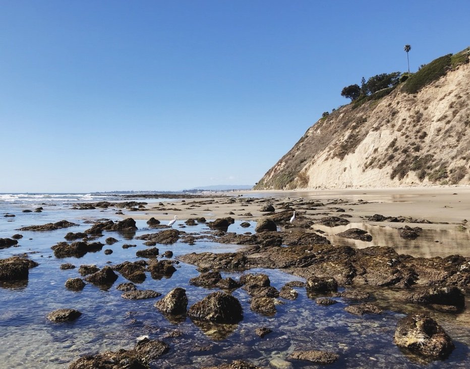 Low Tide Jazz