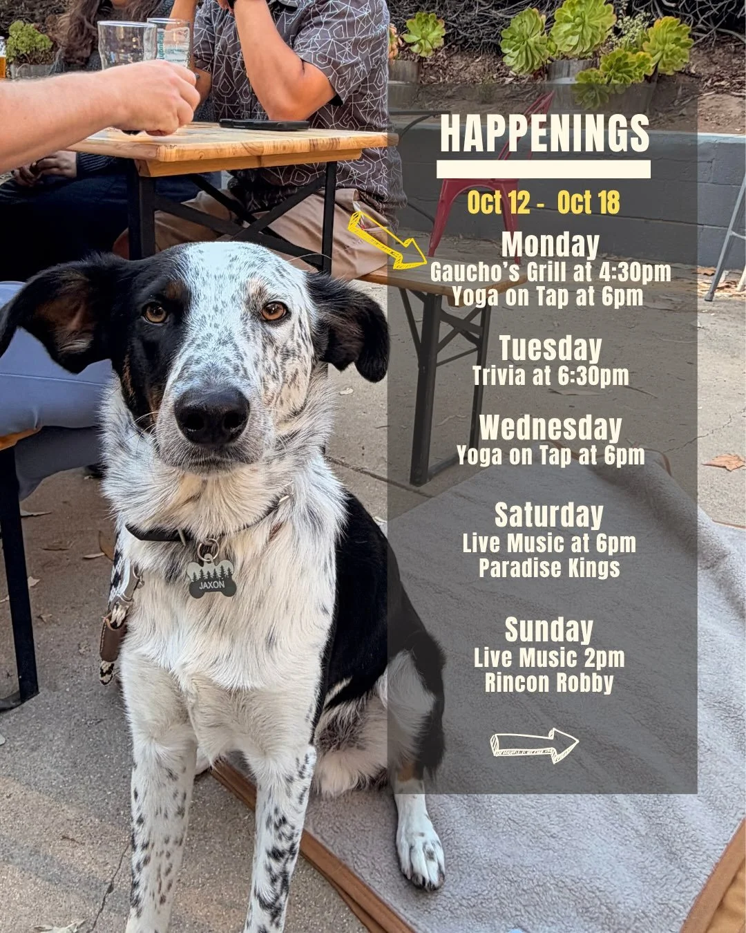 🍻 THIS WEEK AT DRAUGHTSMEN 
OCT 12&ndash;18

🔥 MON 10/12  Gaucho&rsquo;s Grill at 5pm
Brazilian BBQ is back! 🇧🇷 Gaucho&rsquo;s Grill brings the flavor with tri-tip and traditional chimichurri, BBQ chicken, Brazilian sausage sandwiches, and the Pi