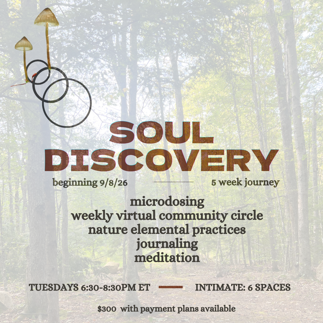 Soul Discovery Journey
