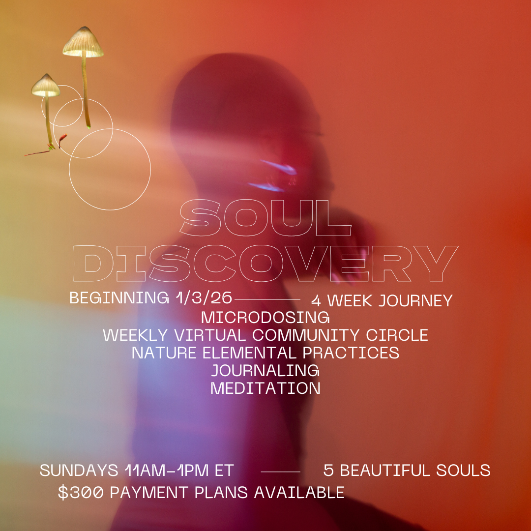 PAYMENT PLAN Soul Discovery Journey