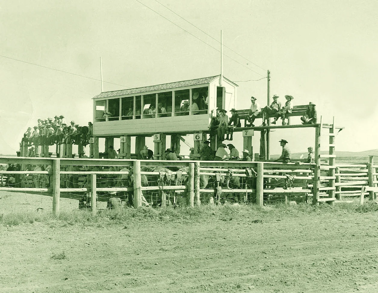 Top-071.jpg