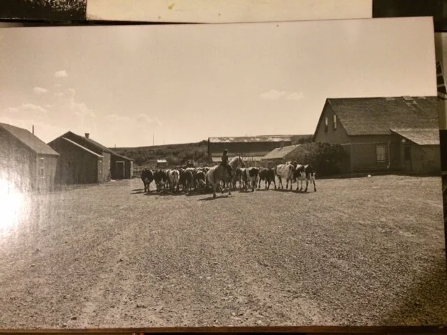 Hutterites — Cardston & District Historical Society