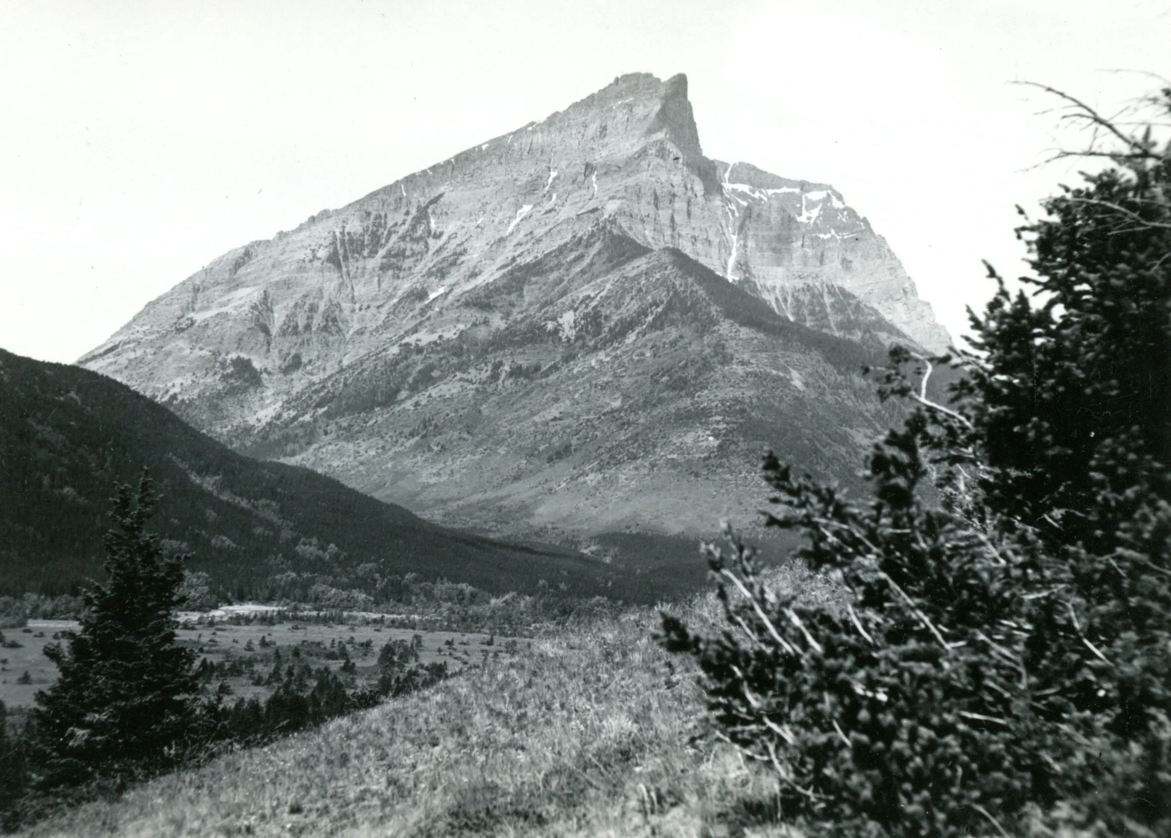 Blakiston Valley