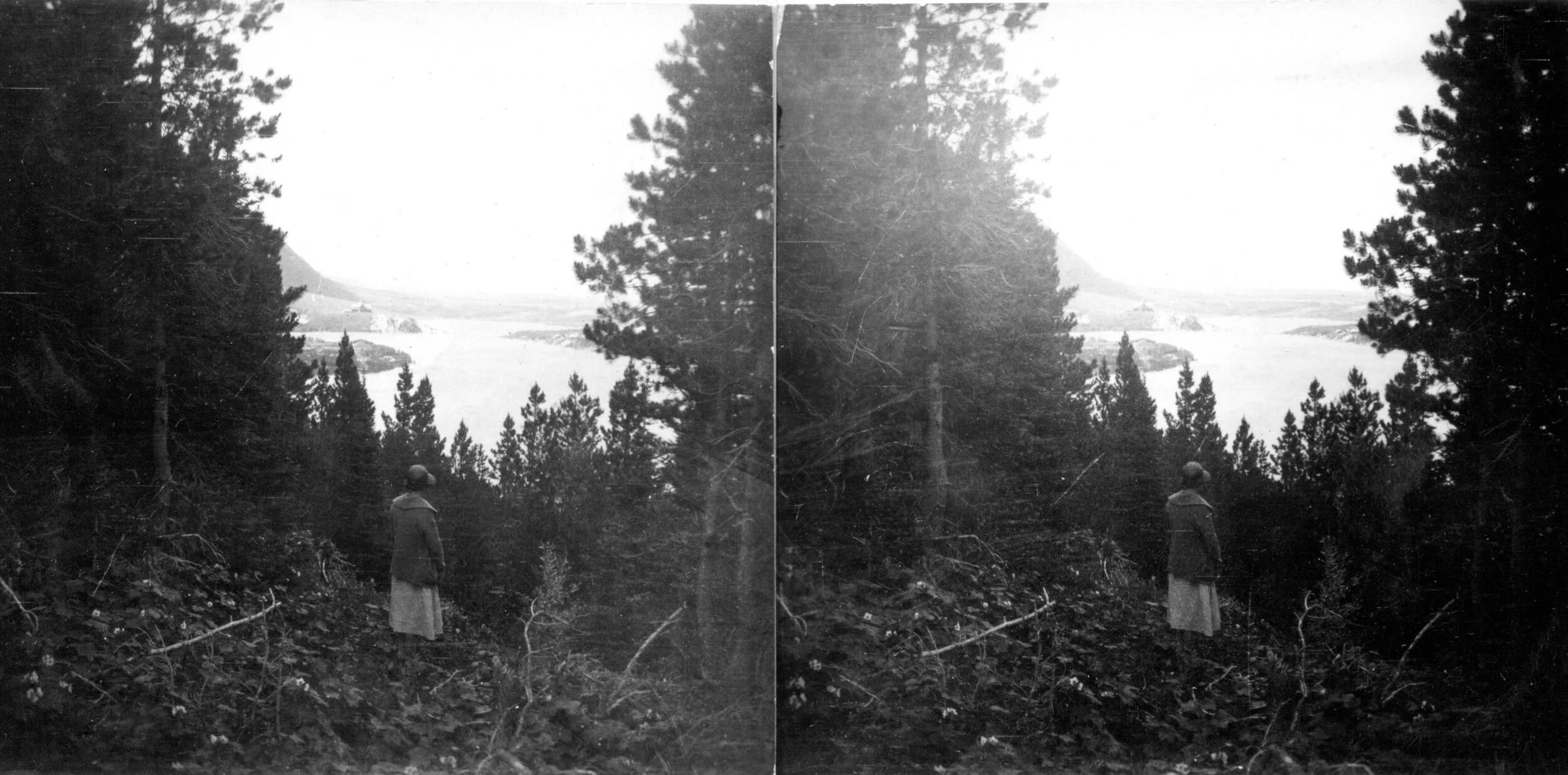 Bertha Lake trail look off