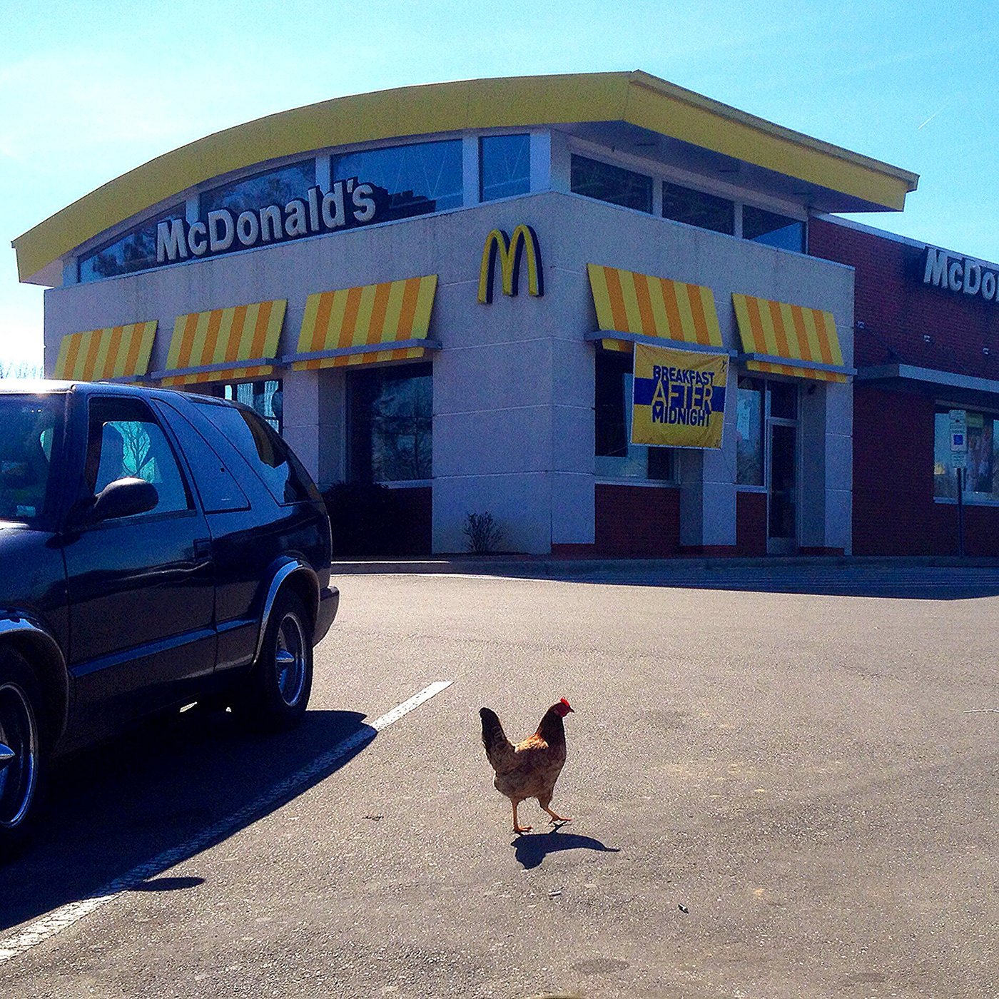 Documentary-Style Scenes