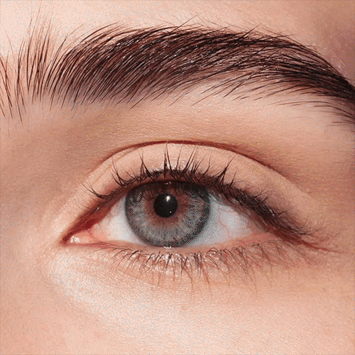 SP19_DIGITAL_EYEPALETTE_ROSELOVERS_NICOLE_1080x1080.gif
