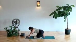 Mindful Mobility - 6/11