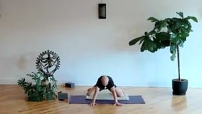 All Levels Flow - 6/23