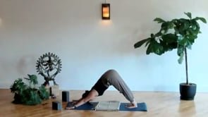 Mindful Mobility - 6/25
