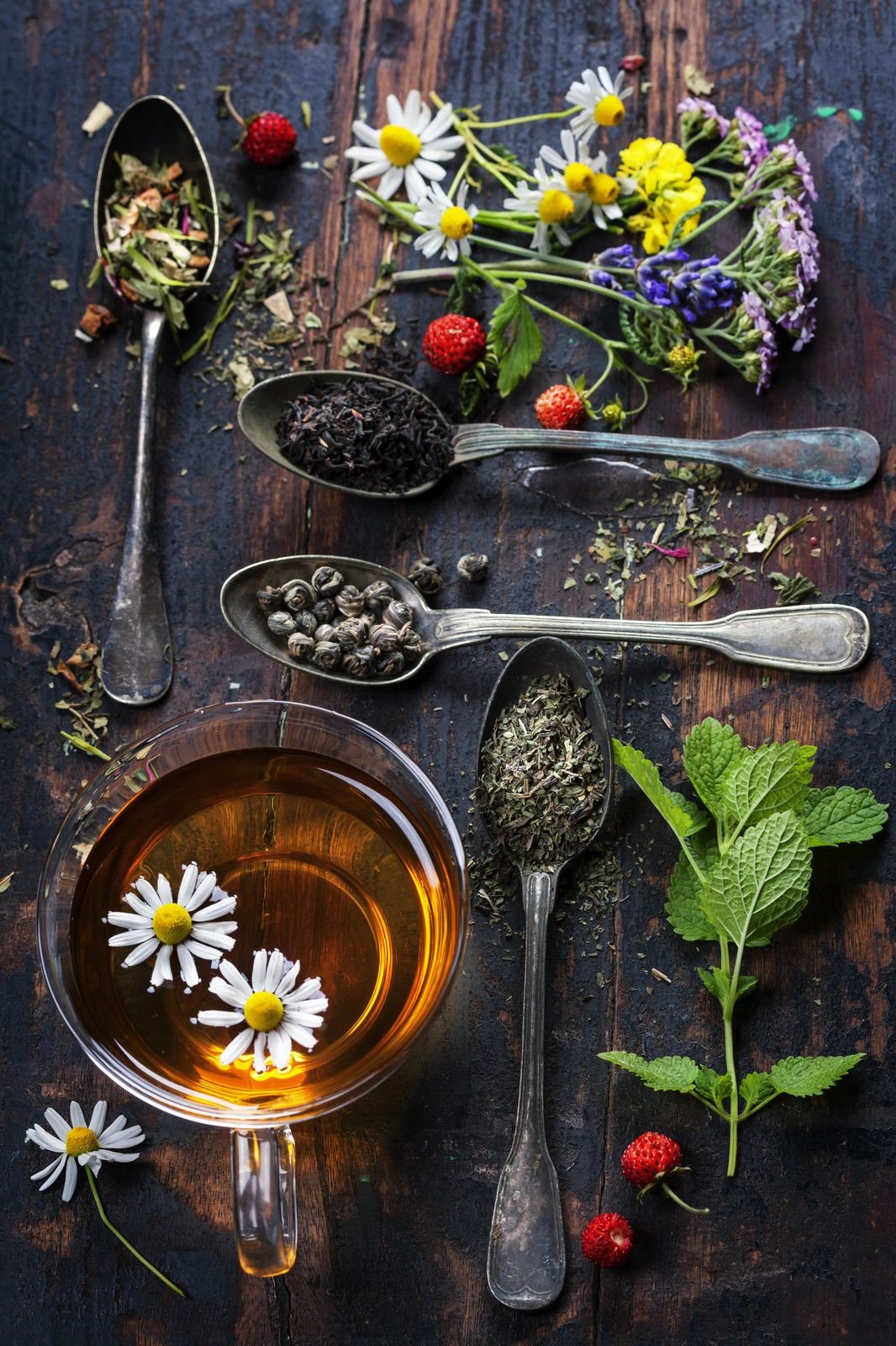 Nourish in Nature: Summer’s Aromatic Garden