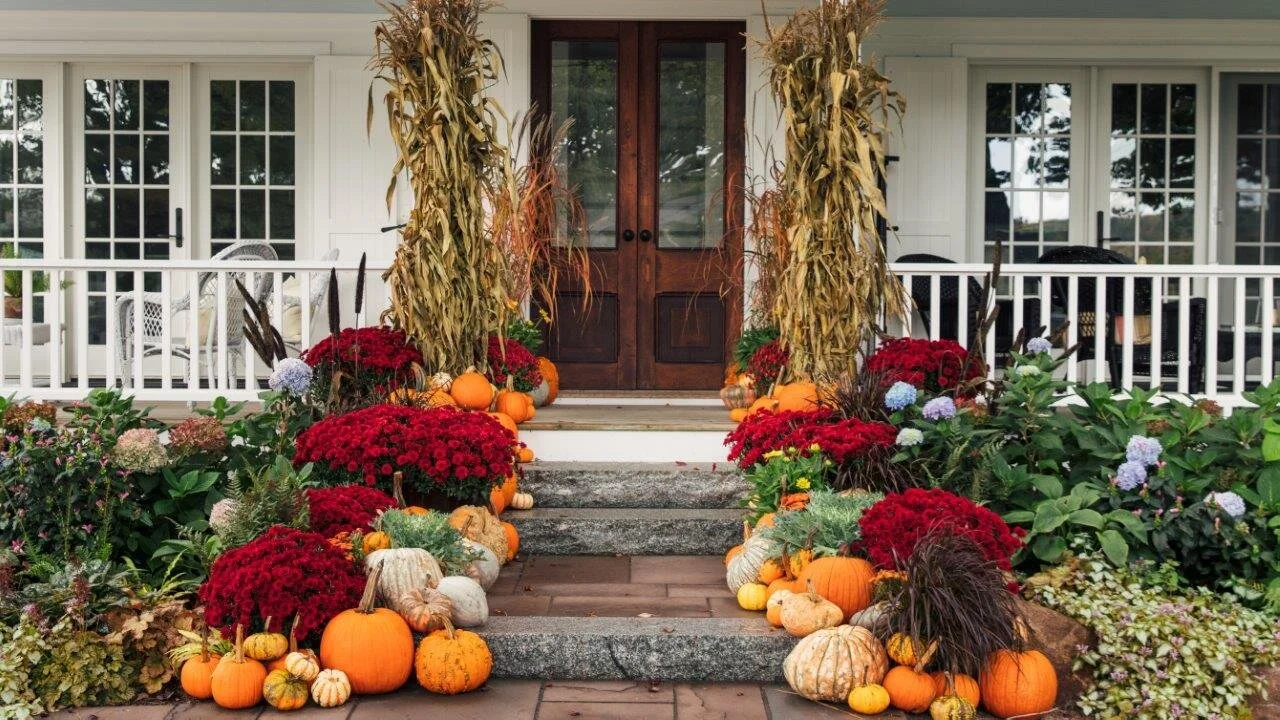 Discovering the Beauty of Maine: A Fall Getaway at The Langsford in Kennebunkport