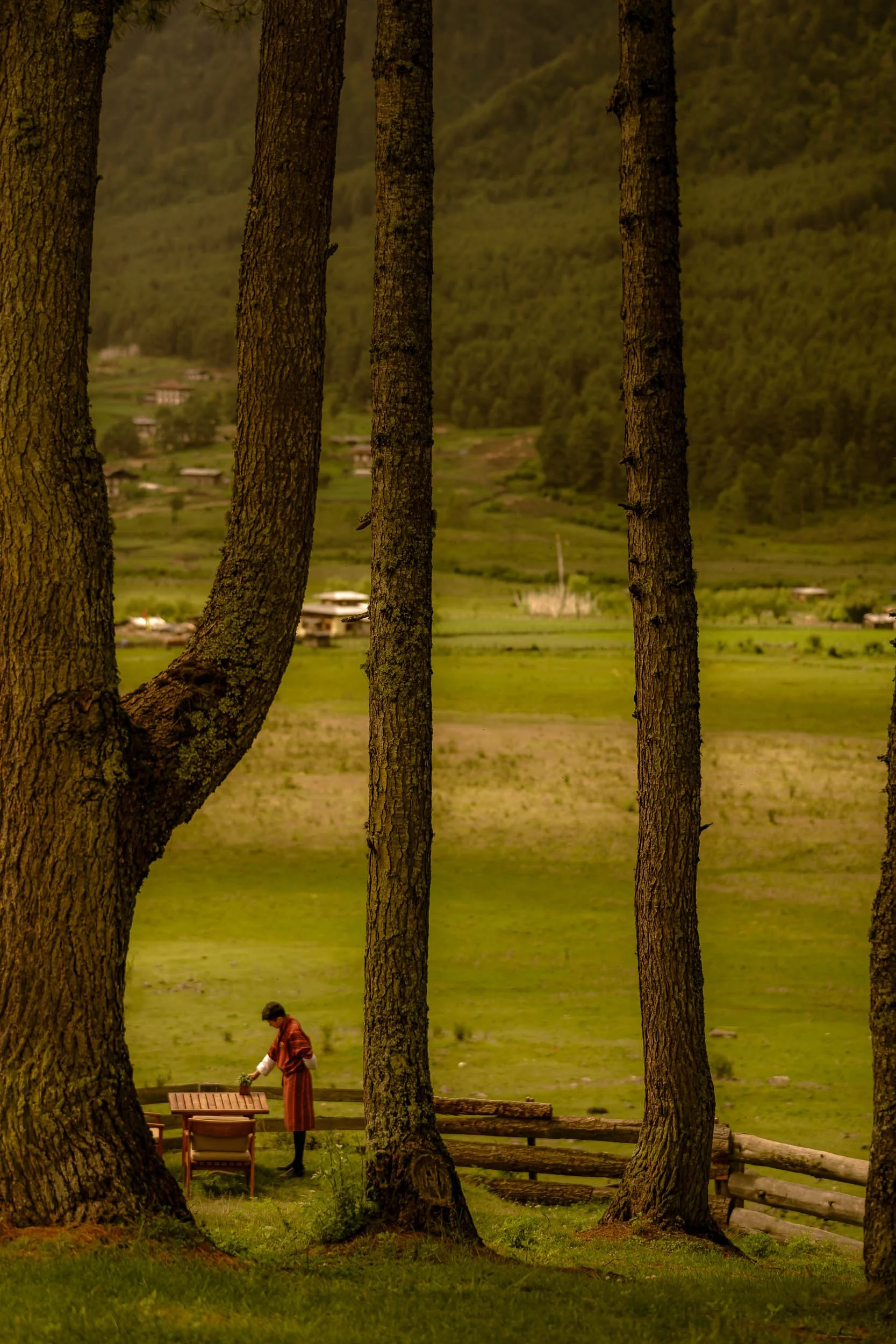 amankora gangtey mrtripper-31.jpg