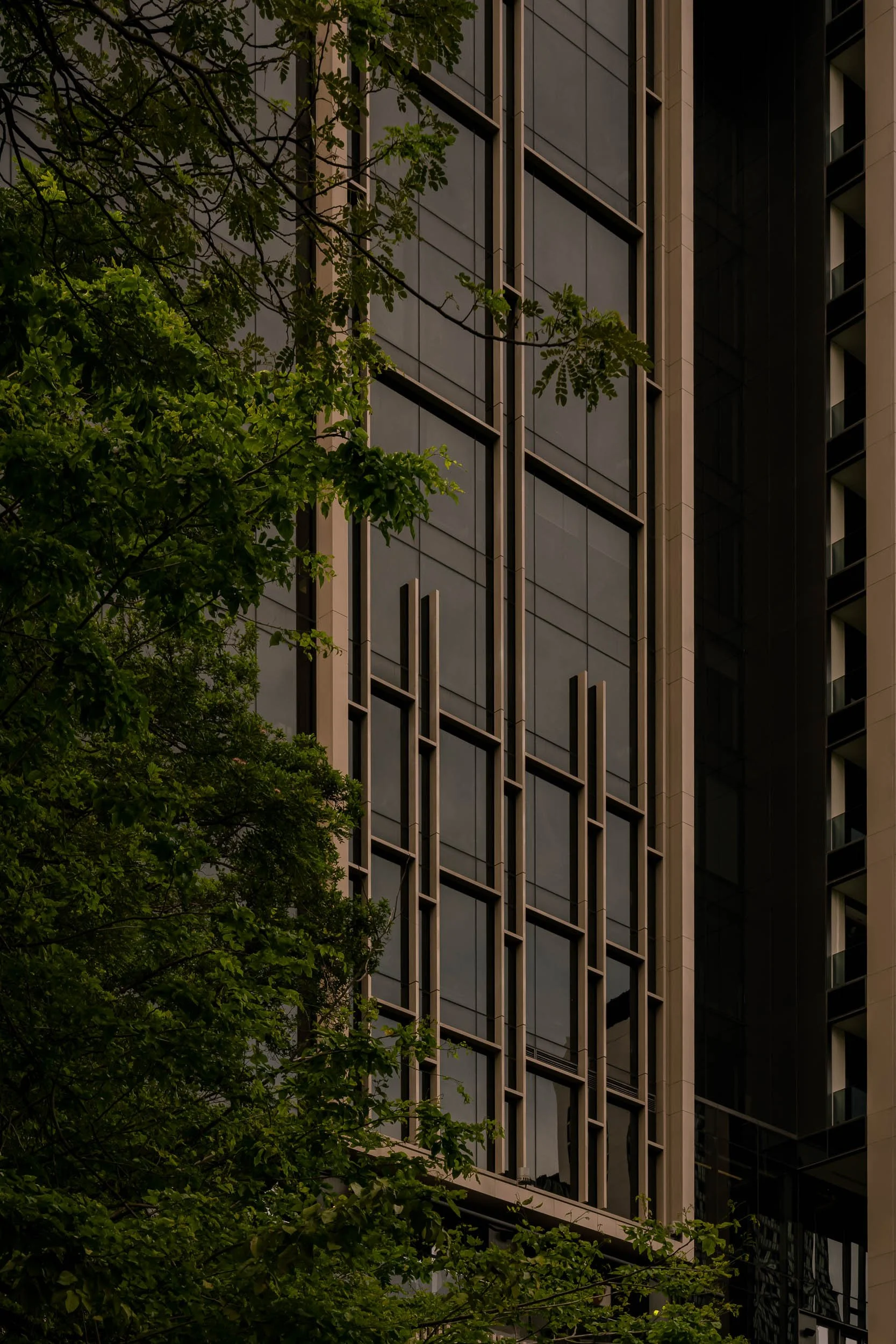 aman nai lert bangkok mr tripper-26.jpg