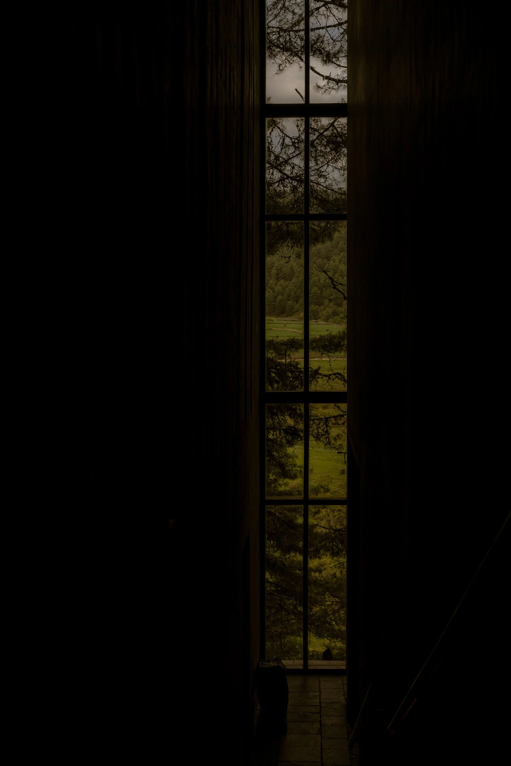 amankora gangtey mrtripper-19.jpg