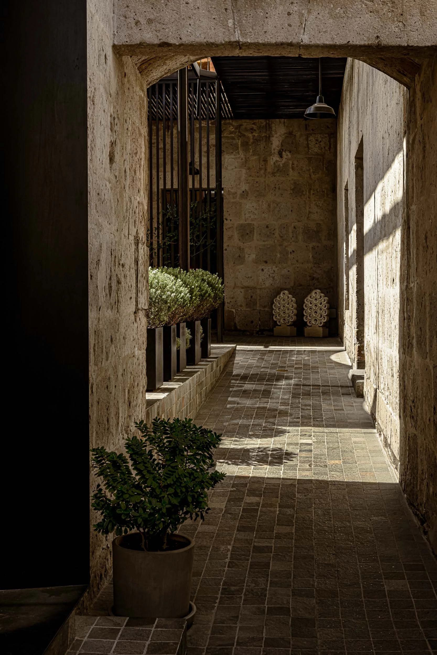 cirqa mrtripper-10.jpg