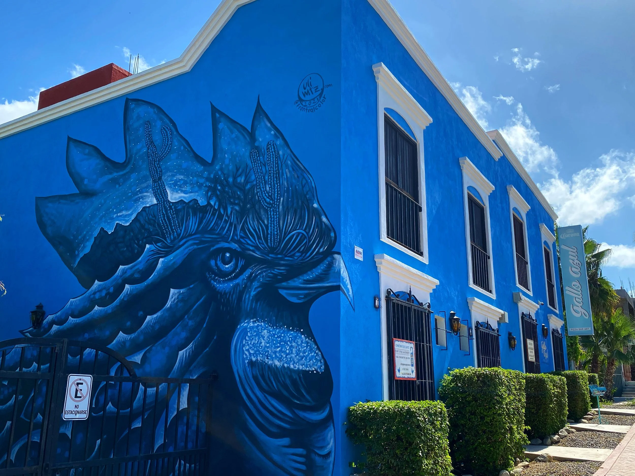 Gallo Azul.jpg