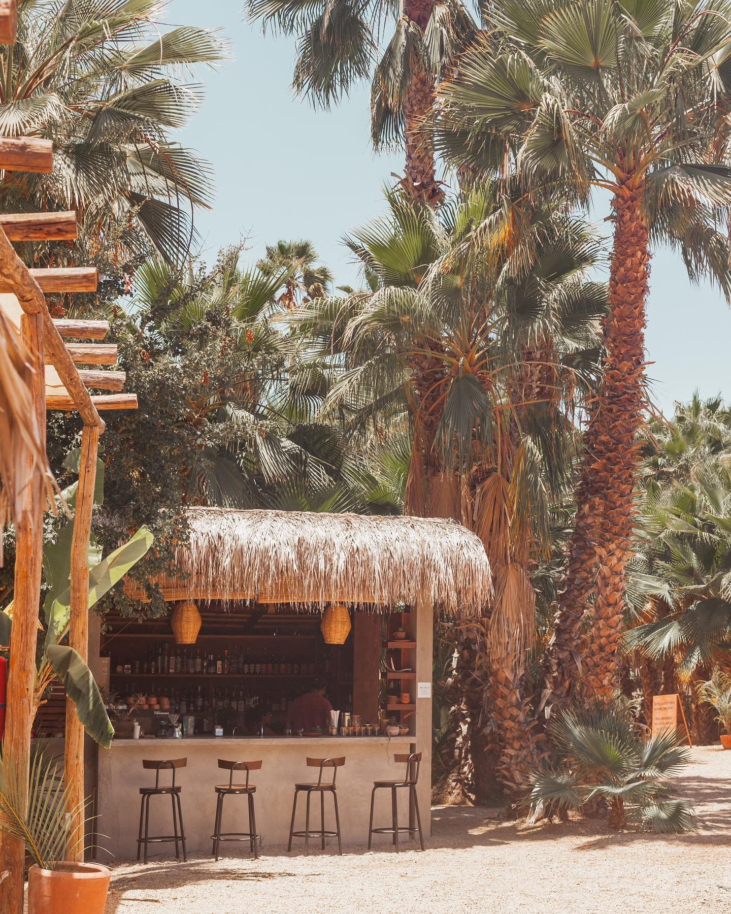 Photo credit @cienpalmas