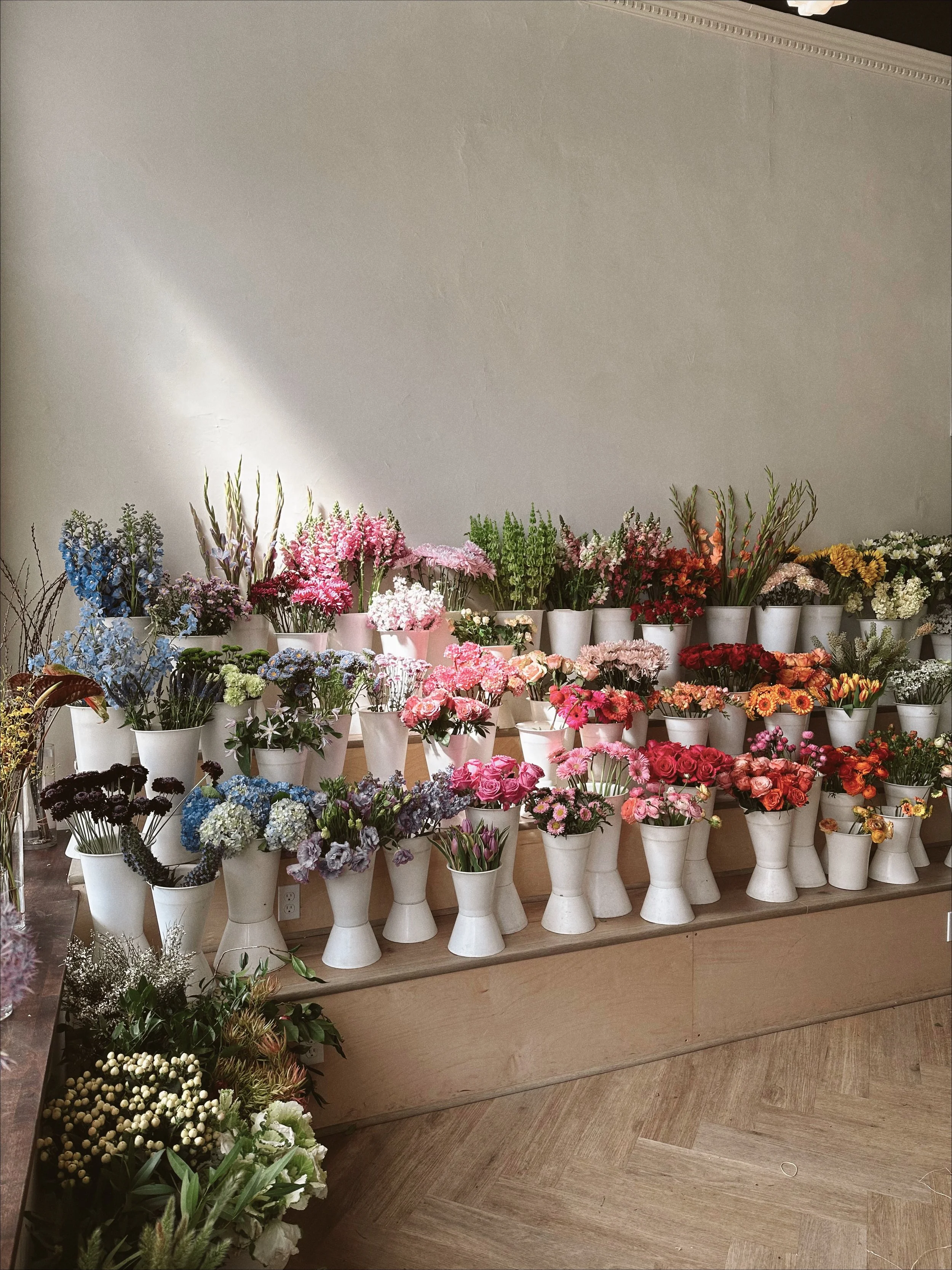 The Power of a New Week