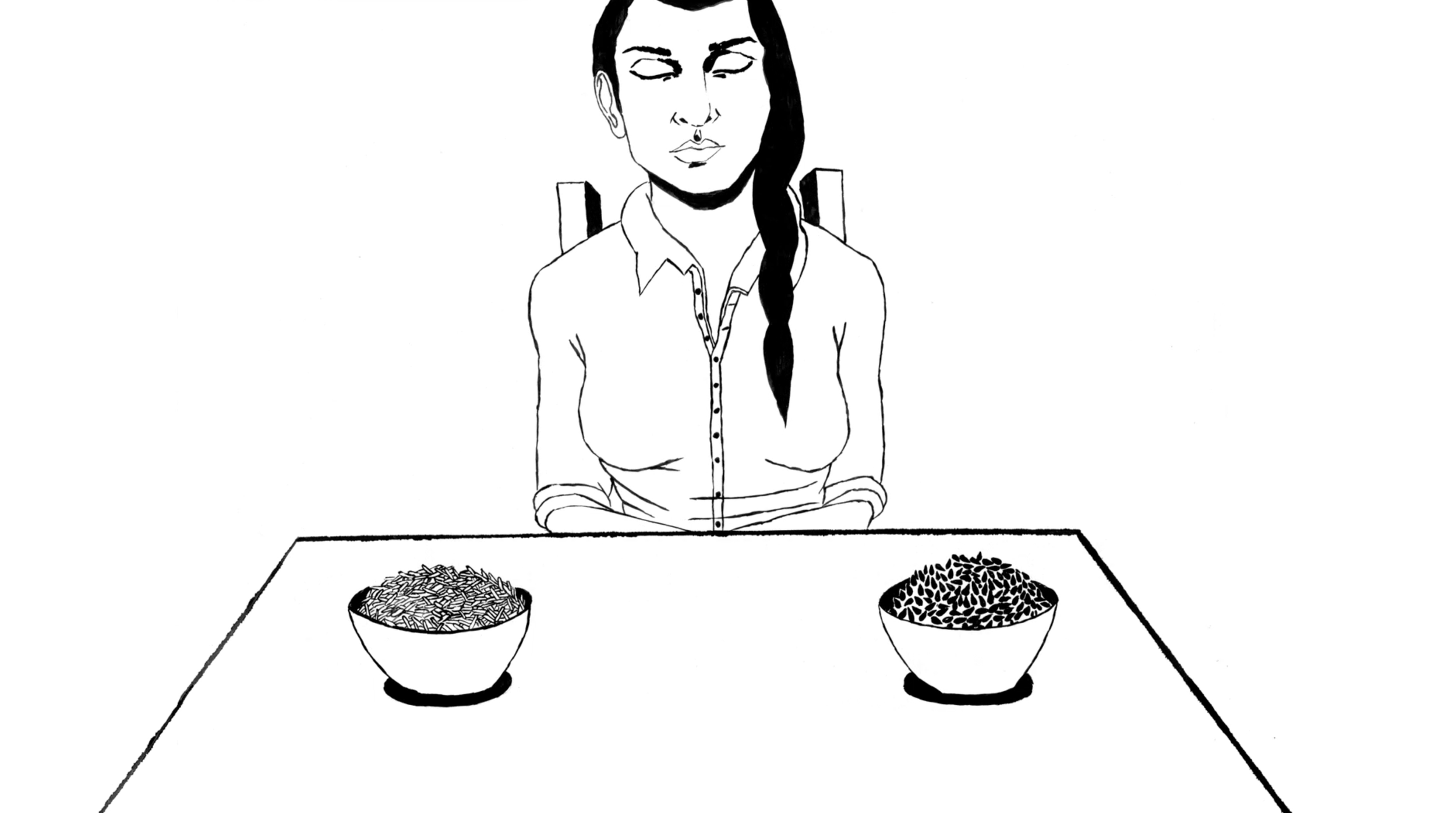 Rice Counting Exercise - Marina Abramović - animation