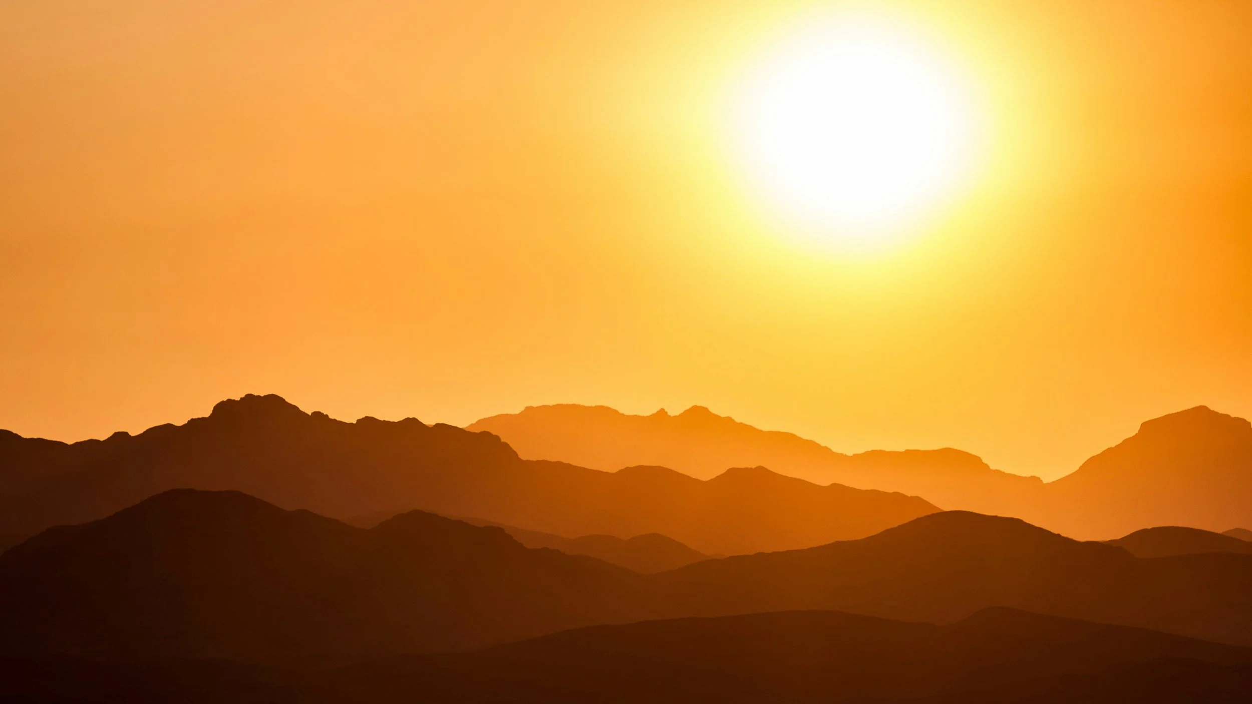 Vitamin D for et langt og friskt liv?