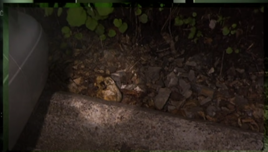  Le crâne qui a été retrouvé, image tirée du reportage d'Enquête. 