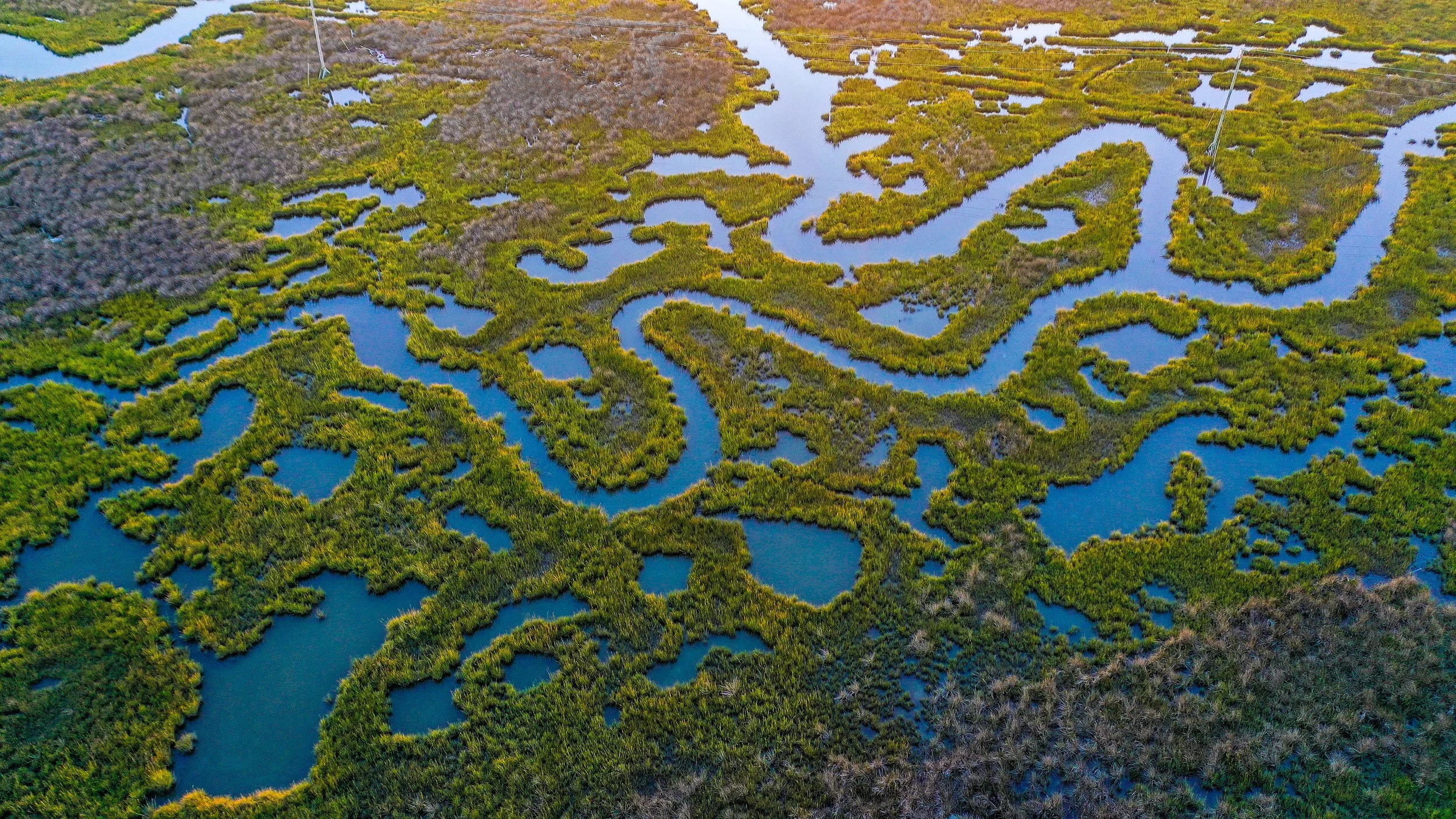 Winding Marshland