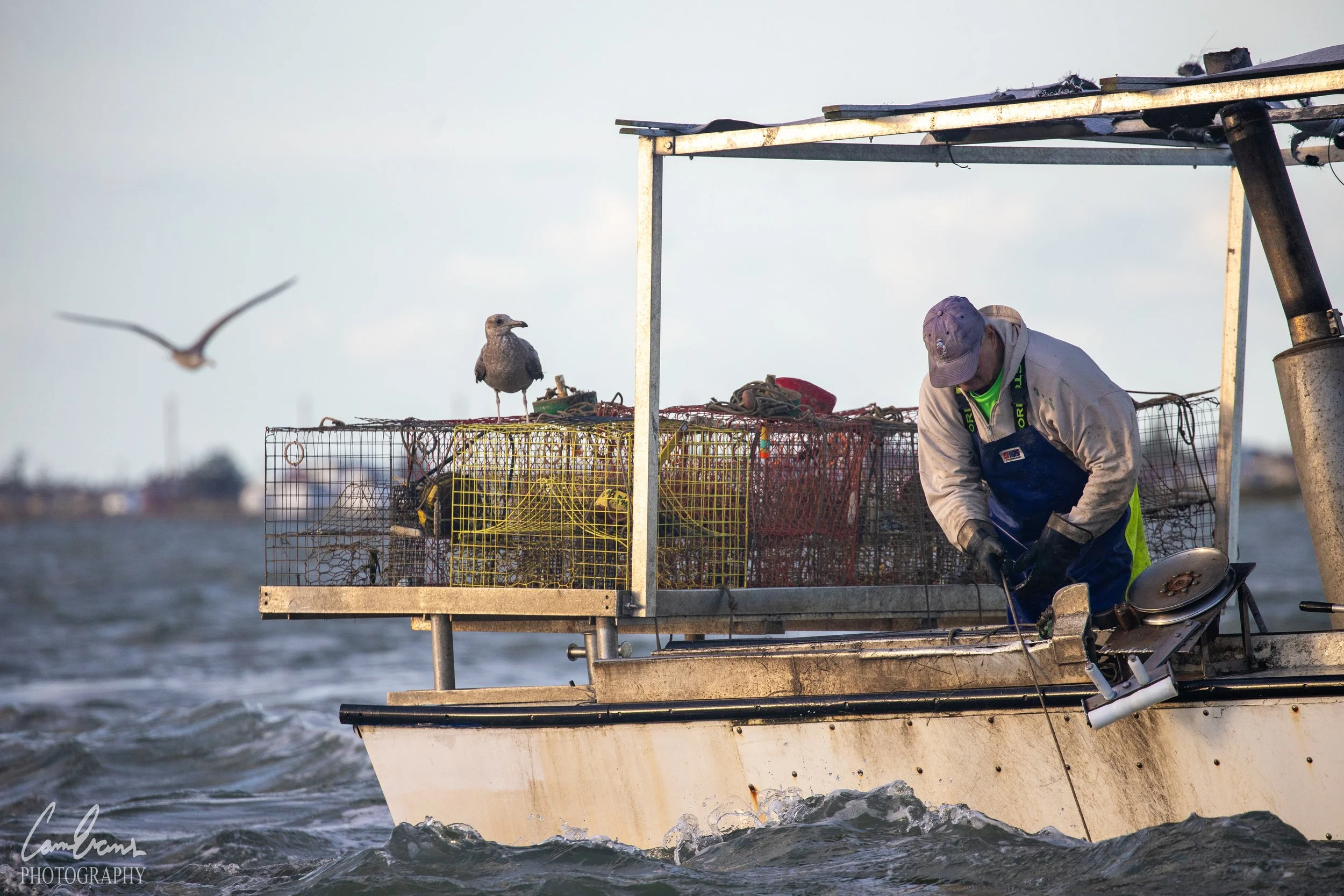 Will Crockett Crabbing