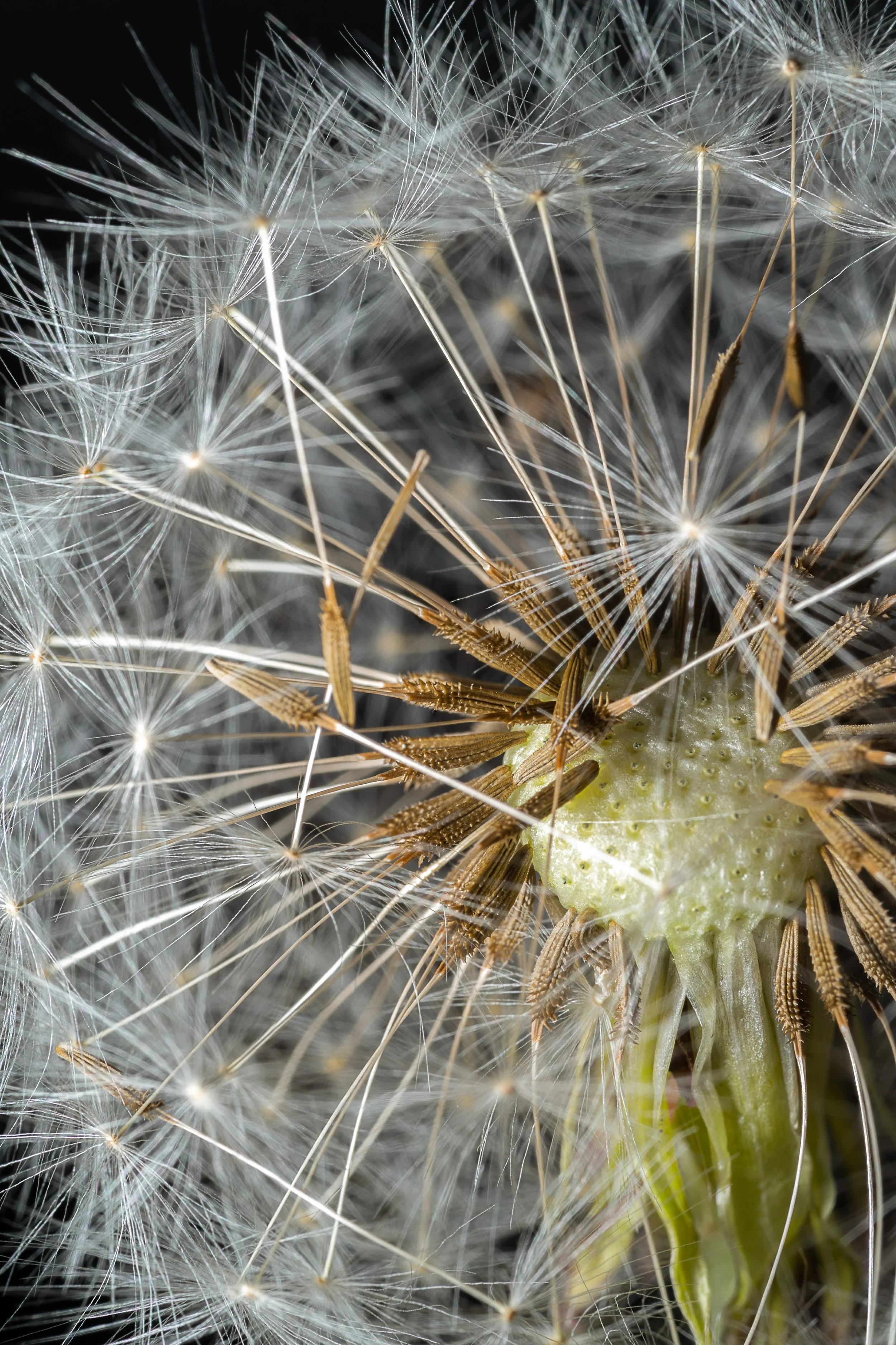 _DSC5535-Edit.jpg