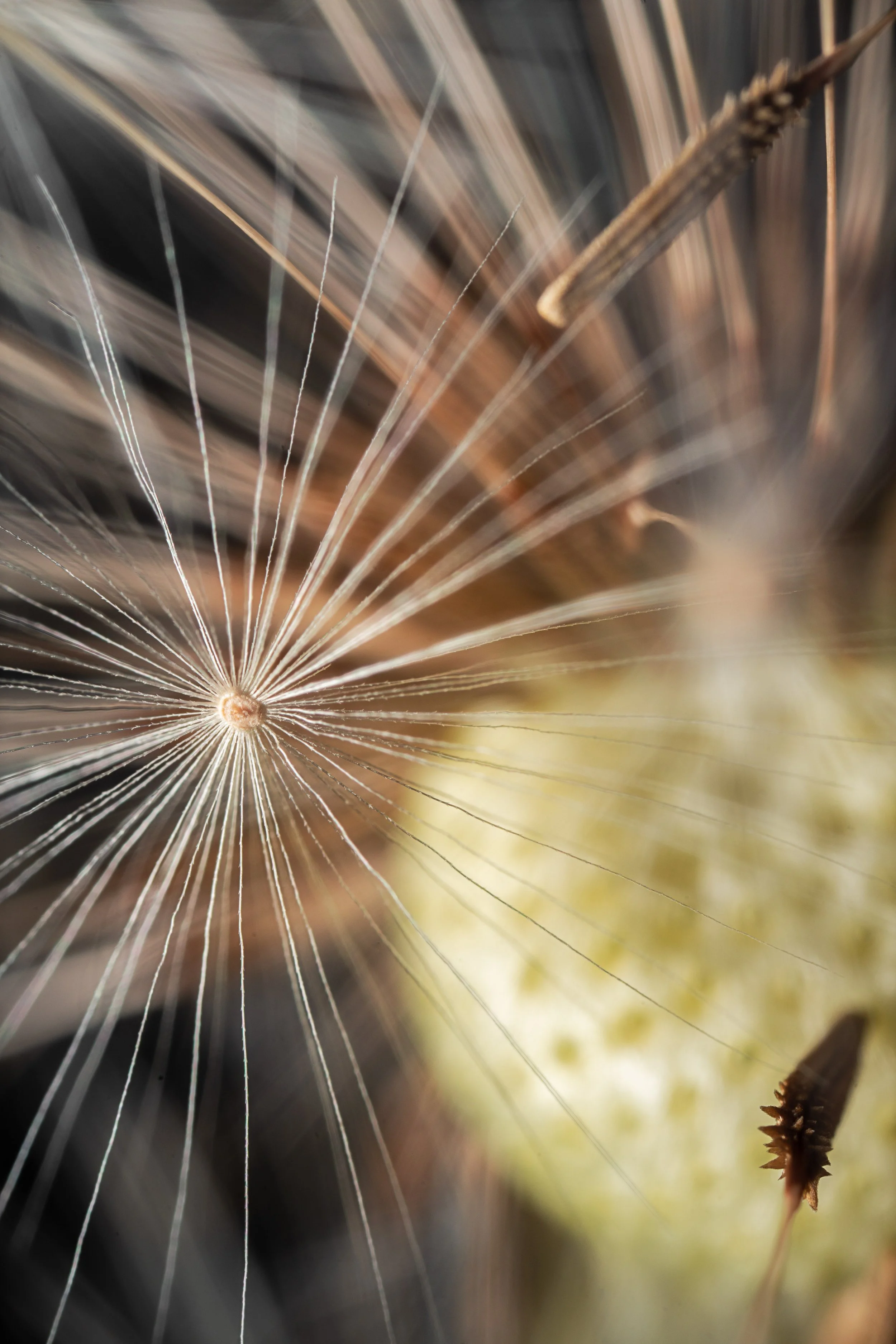 _DSC5502-Edit.jpg