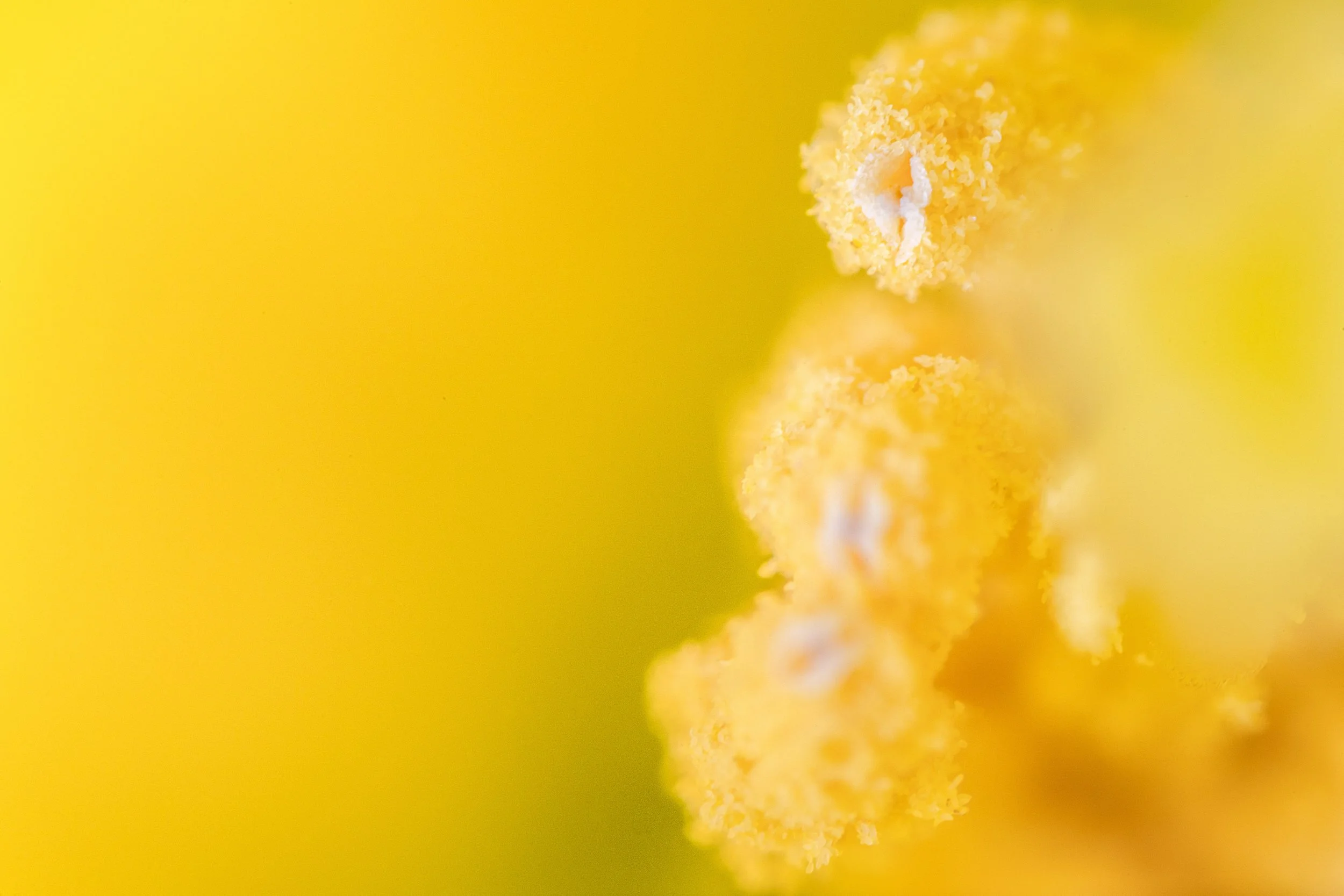 _DSC4833-Edit-2.jpg