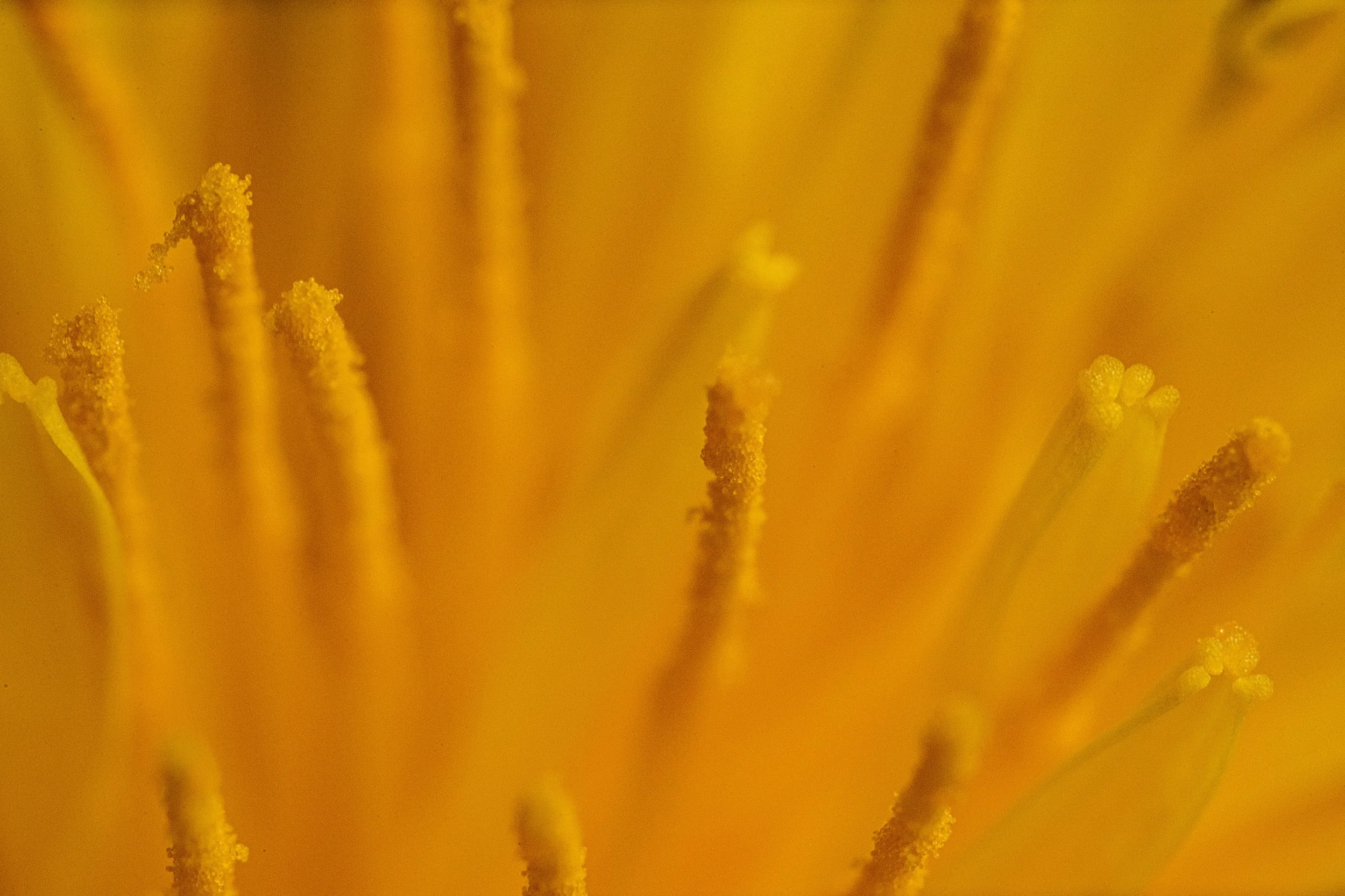 _DSC5214-Edit-4.jpg