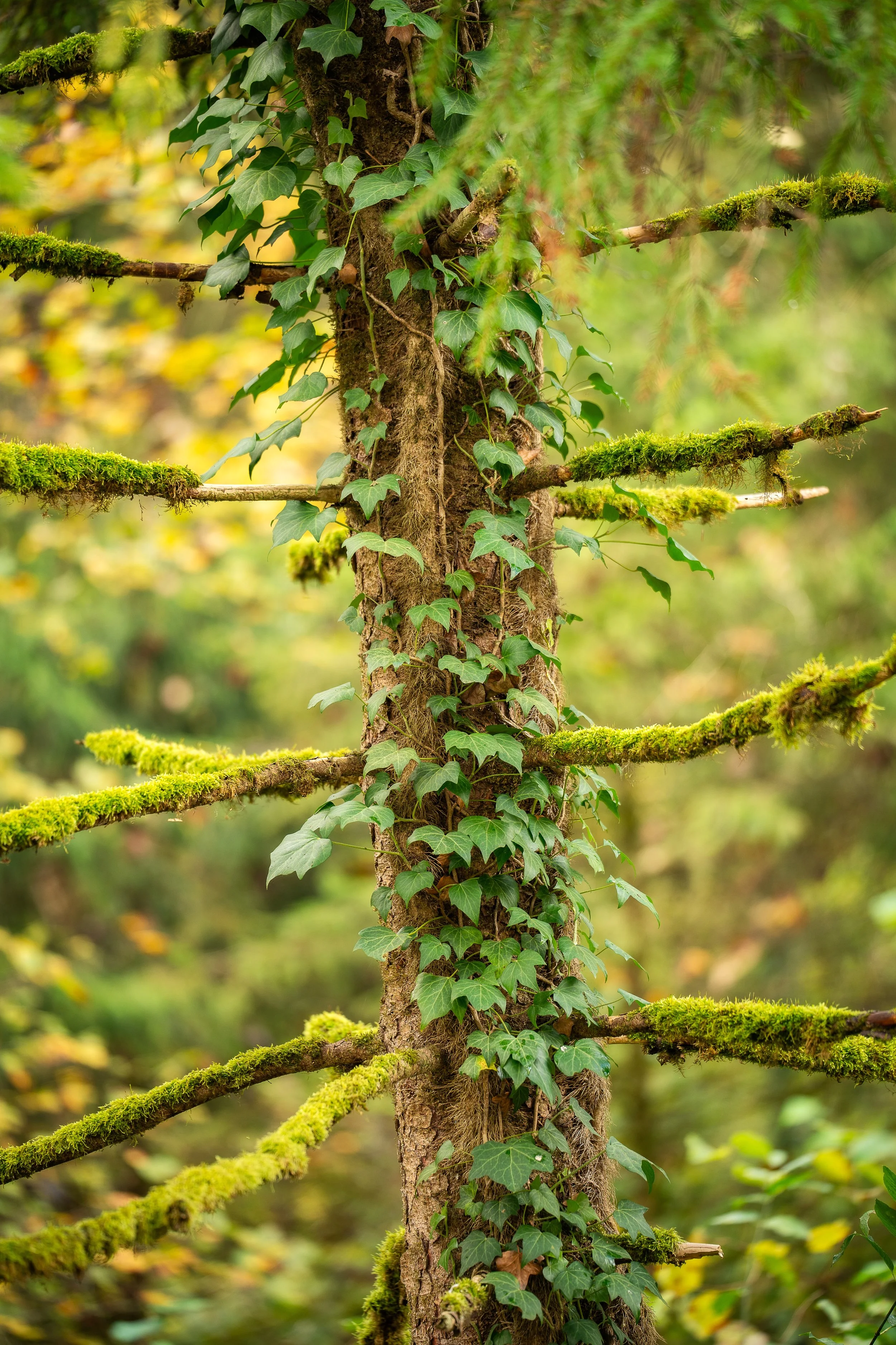 _DSC0086-Edit.jpg