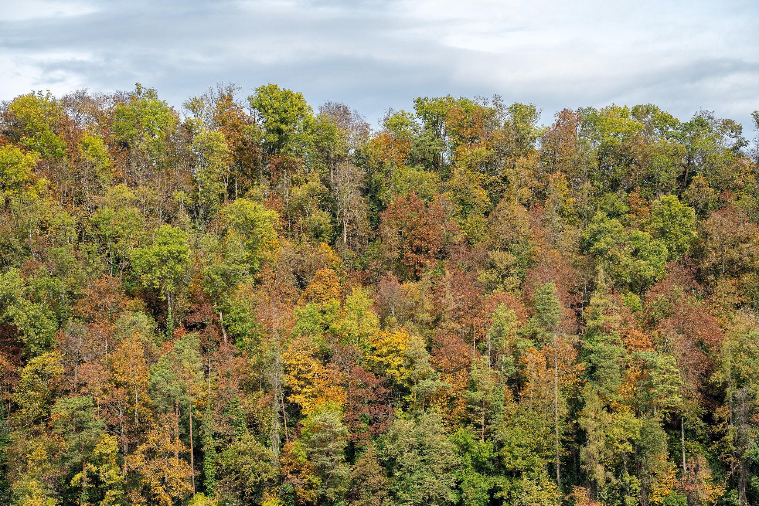 _DSC8443-Edit.jpg