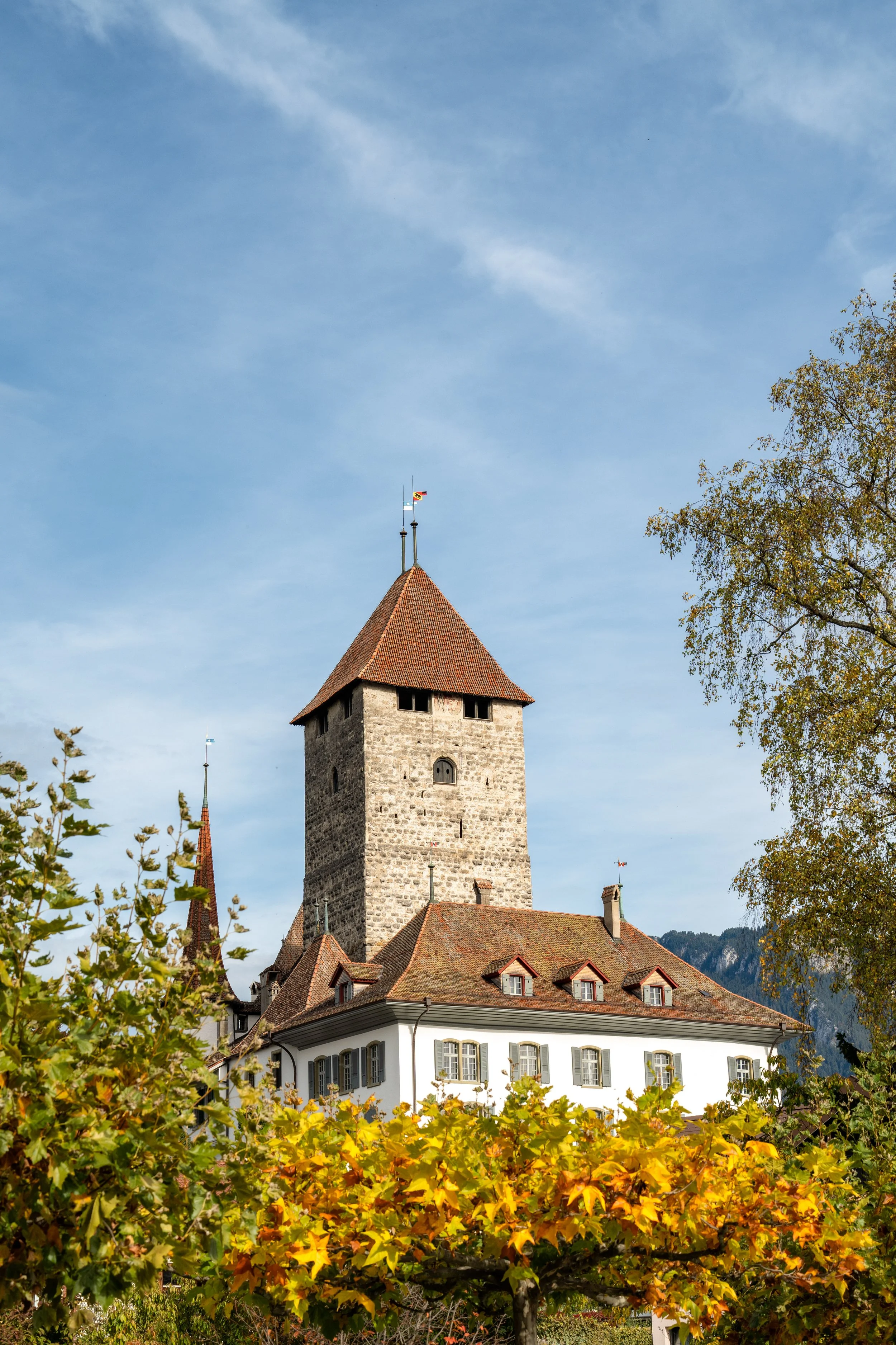 _DSC8537-Edit.jpg