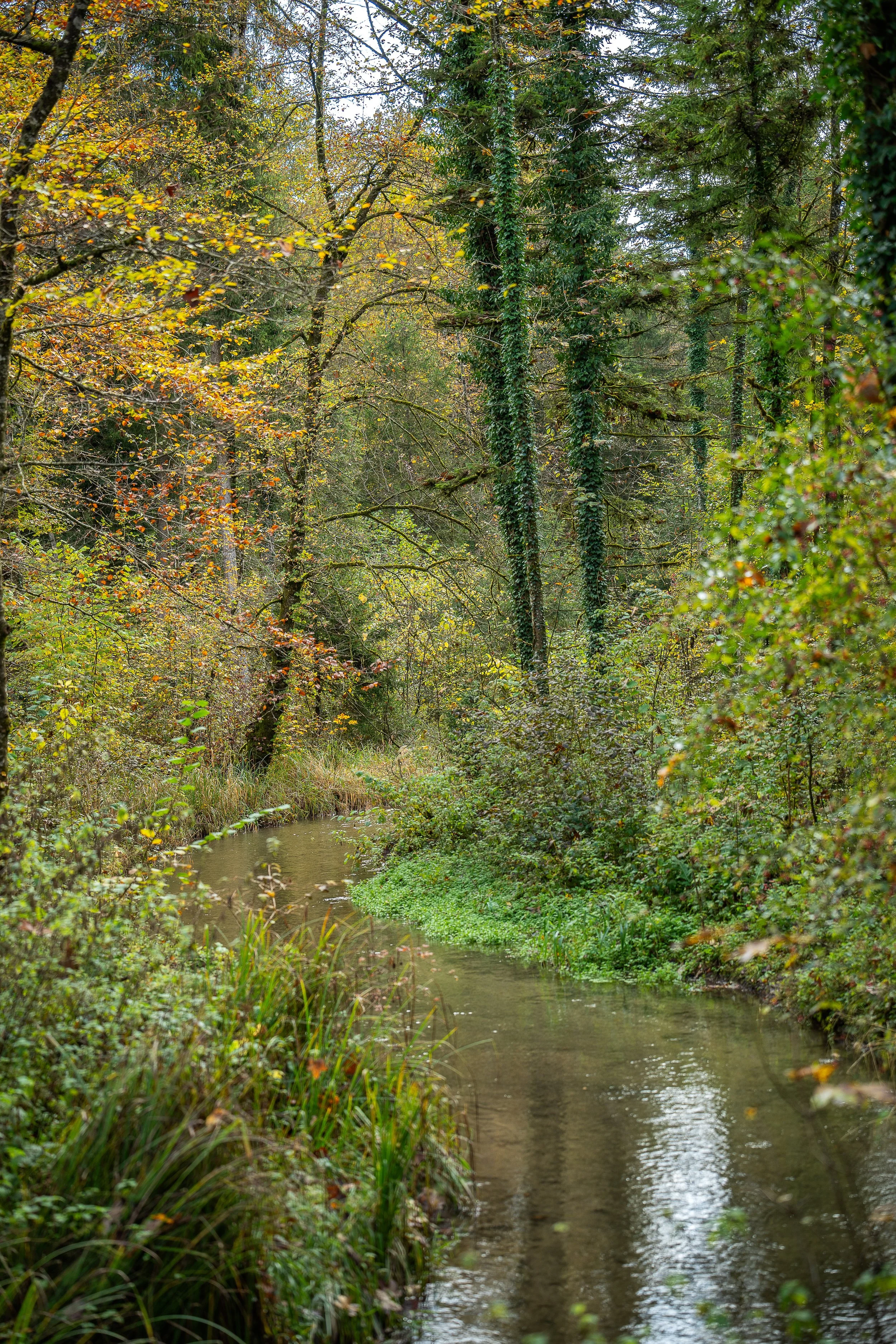 _DSC0083-Edit.jpg