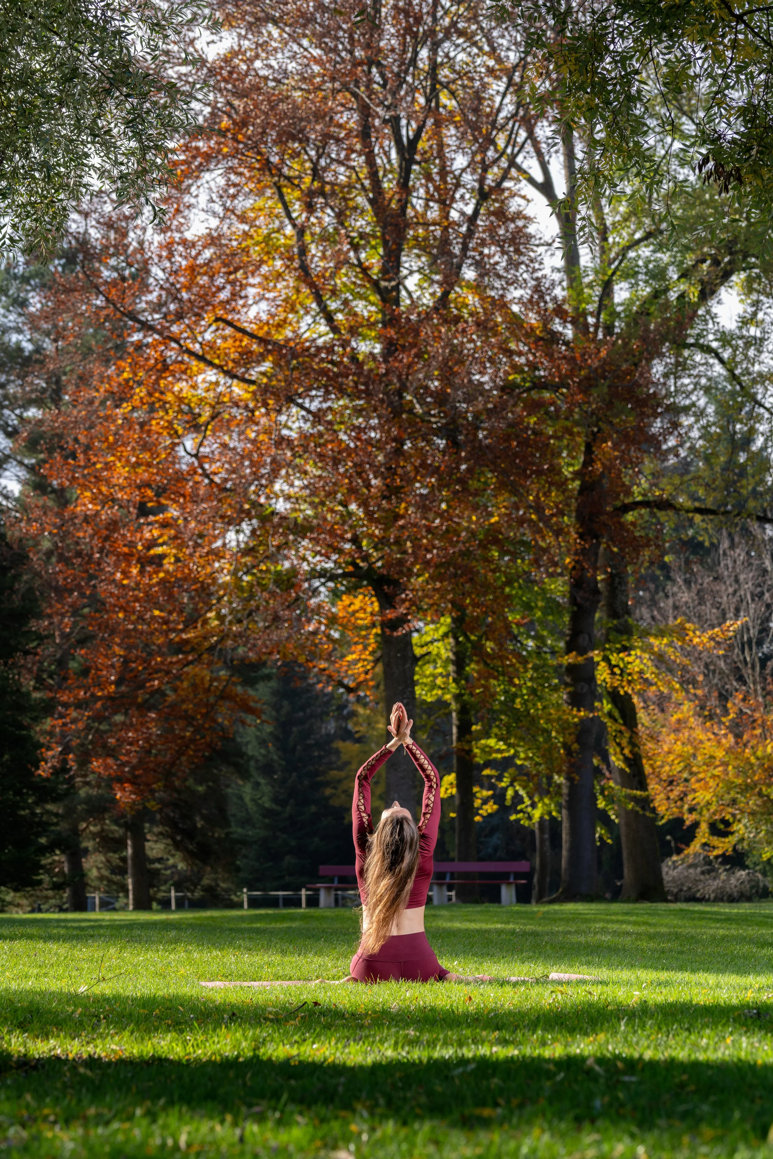 DSC2463.jpg