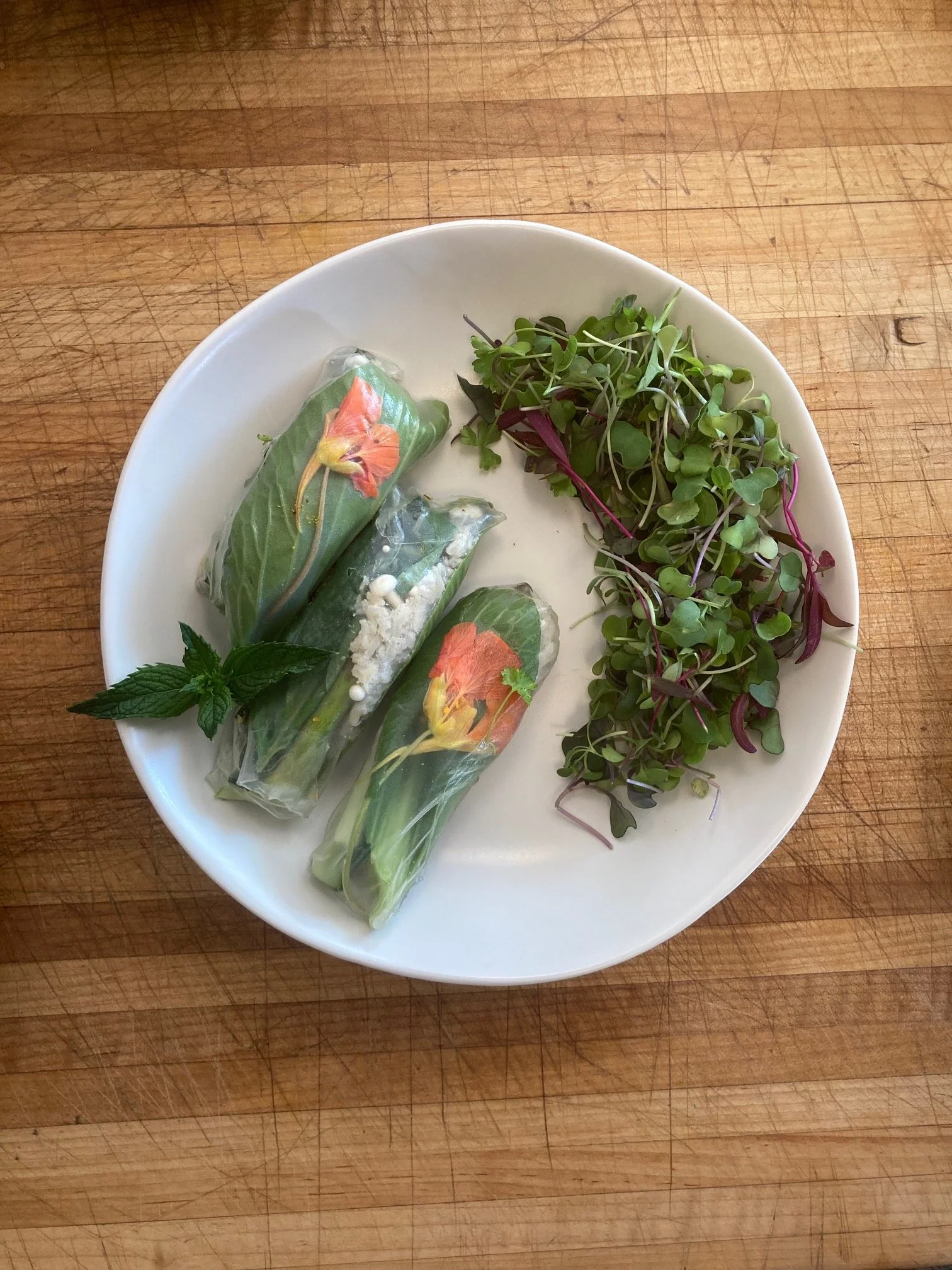 Fine-Tune - Dosha Follow-Up Visit