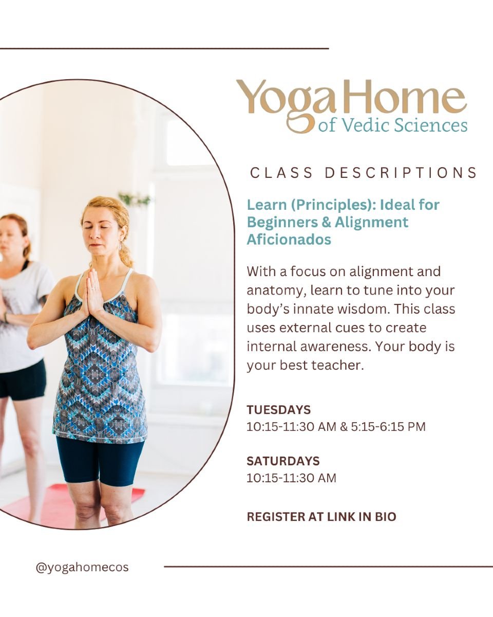 Calling All Beginners & Alignment Aficionados 📣
We have the perfect class for you! Whether you're new to yoga or someone who loves to deep-dive into the hows and whys of movement, you'll love our Learn (Principles) classes.
They're taught by