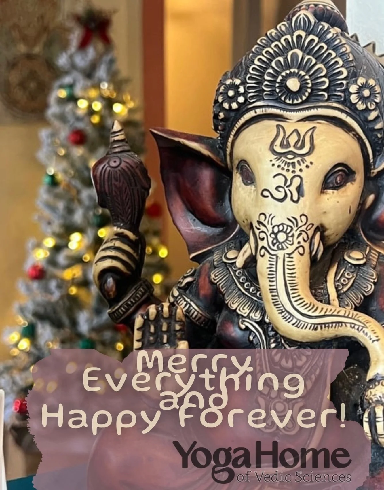 ✨ Admittedly, I&rsquo;ve never been a holiday person, but there is something magical at this time of the year. 
✨The twinkle of the lights is a beautiful and magical reminder of the duality of our experiences. 
✨And our experience IS magical! 

✨May 