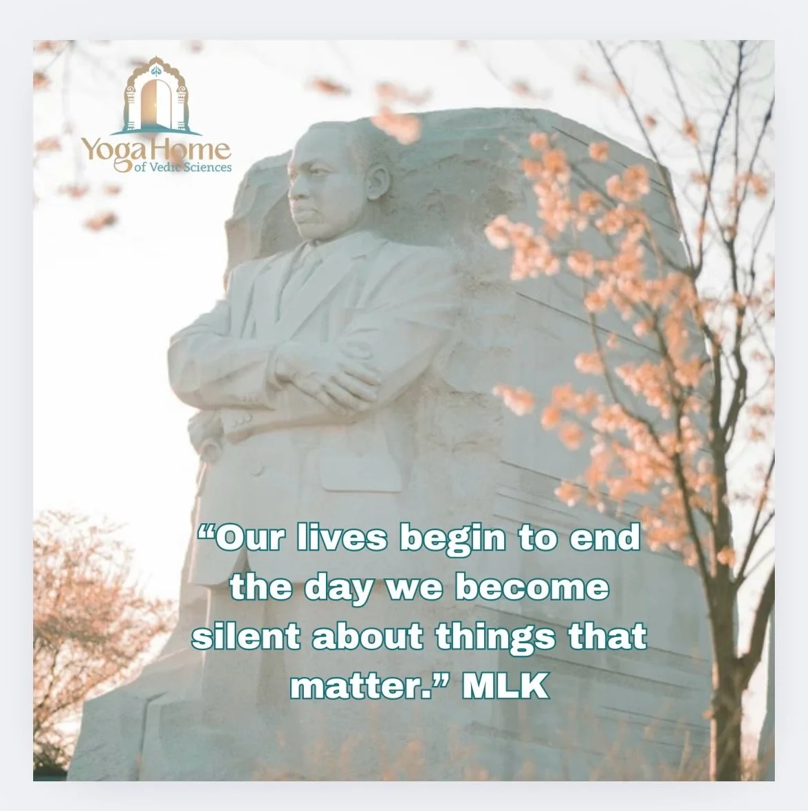 Yoga philosophy is rooted in social activism (yamas), and how our interconnected-ness with others benefit from our personal self reflections (niyamas), and actions that create a world that benefits all peoples. 

Now, more than ever, it is imperative