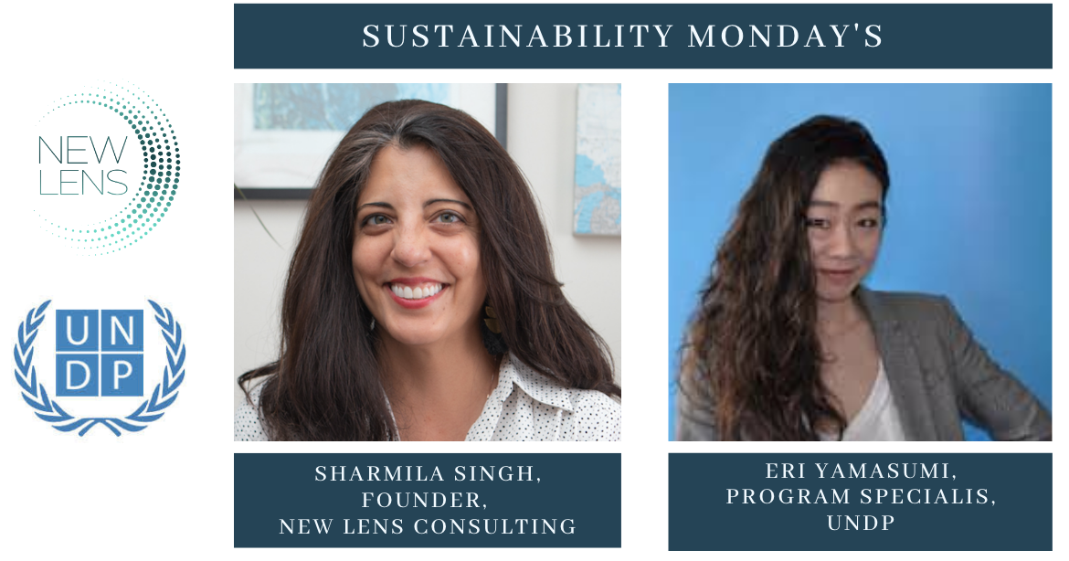 Building a Career at the United Nations