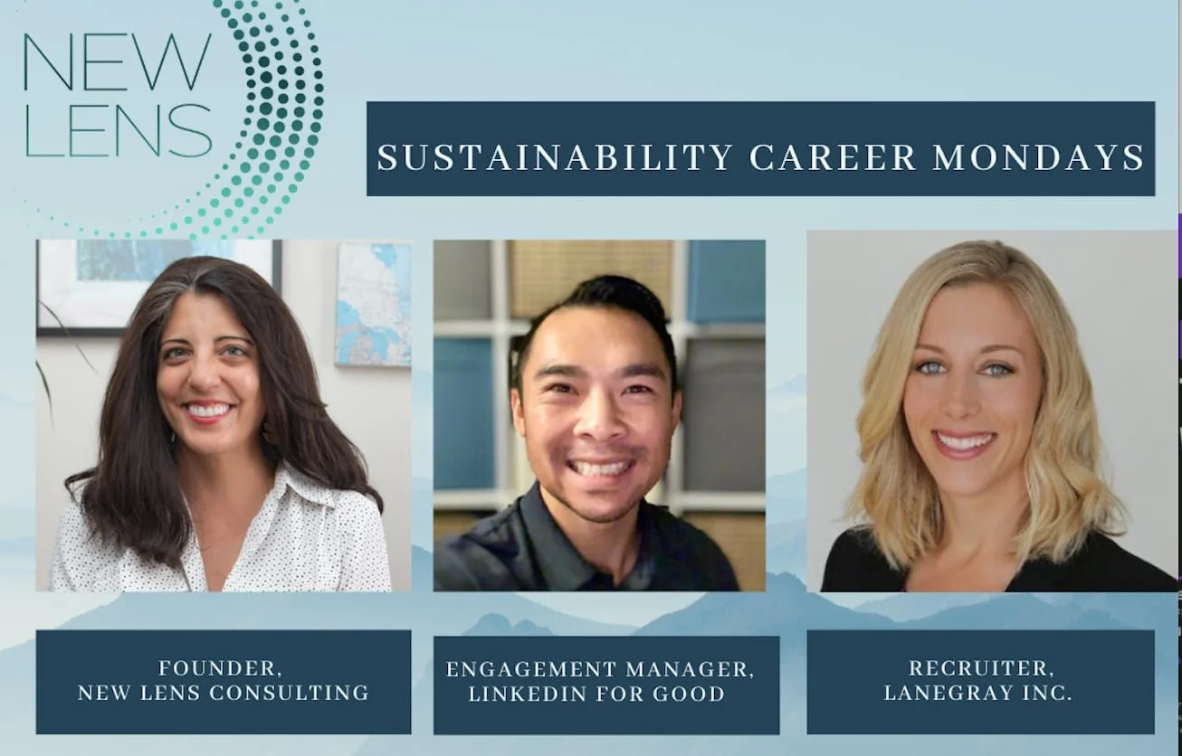 Job Searching During COVID -A Recruiters Perspective