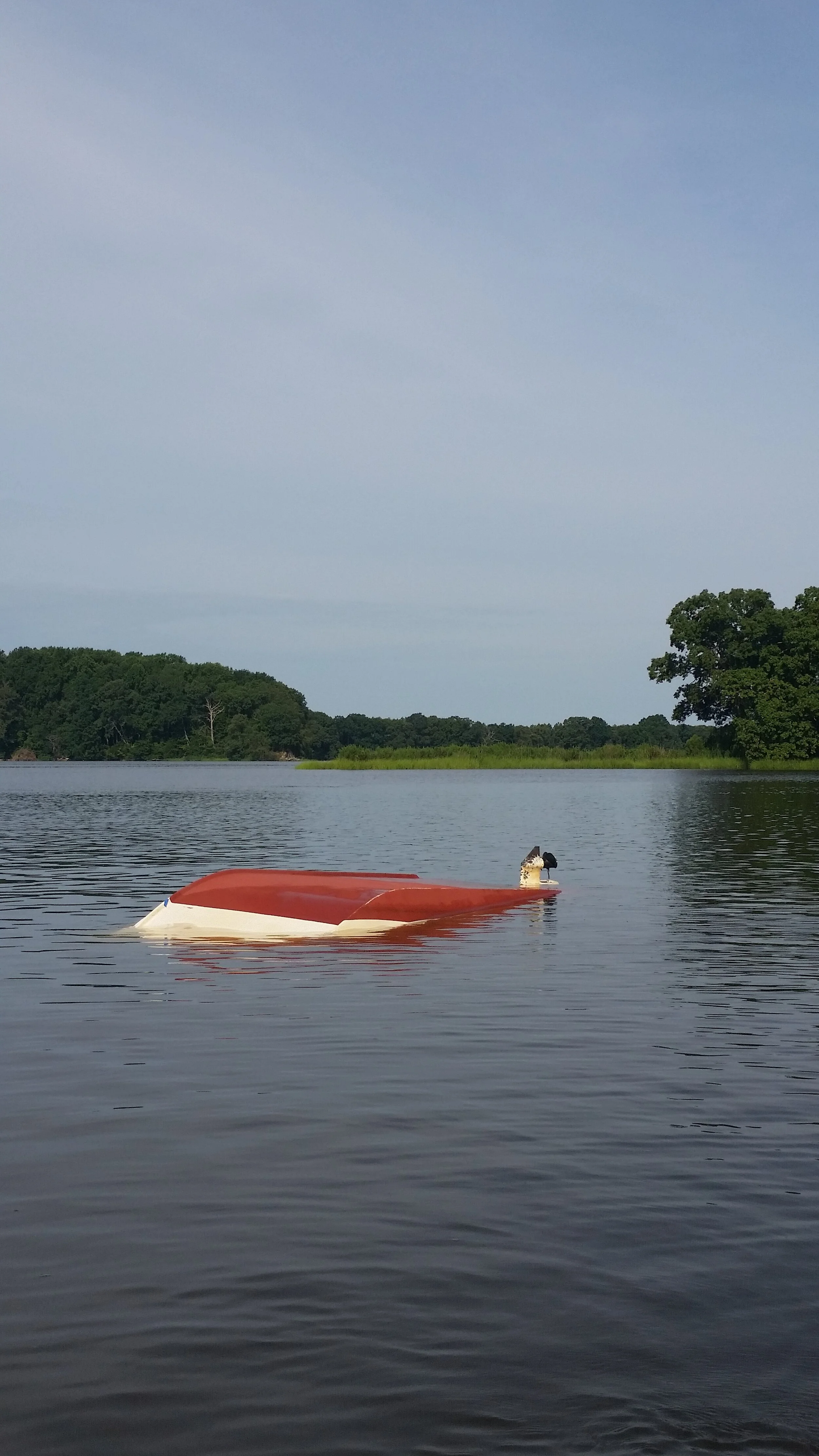 20160712_085644.jpg